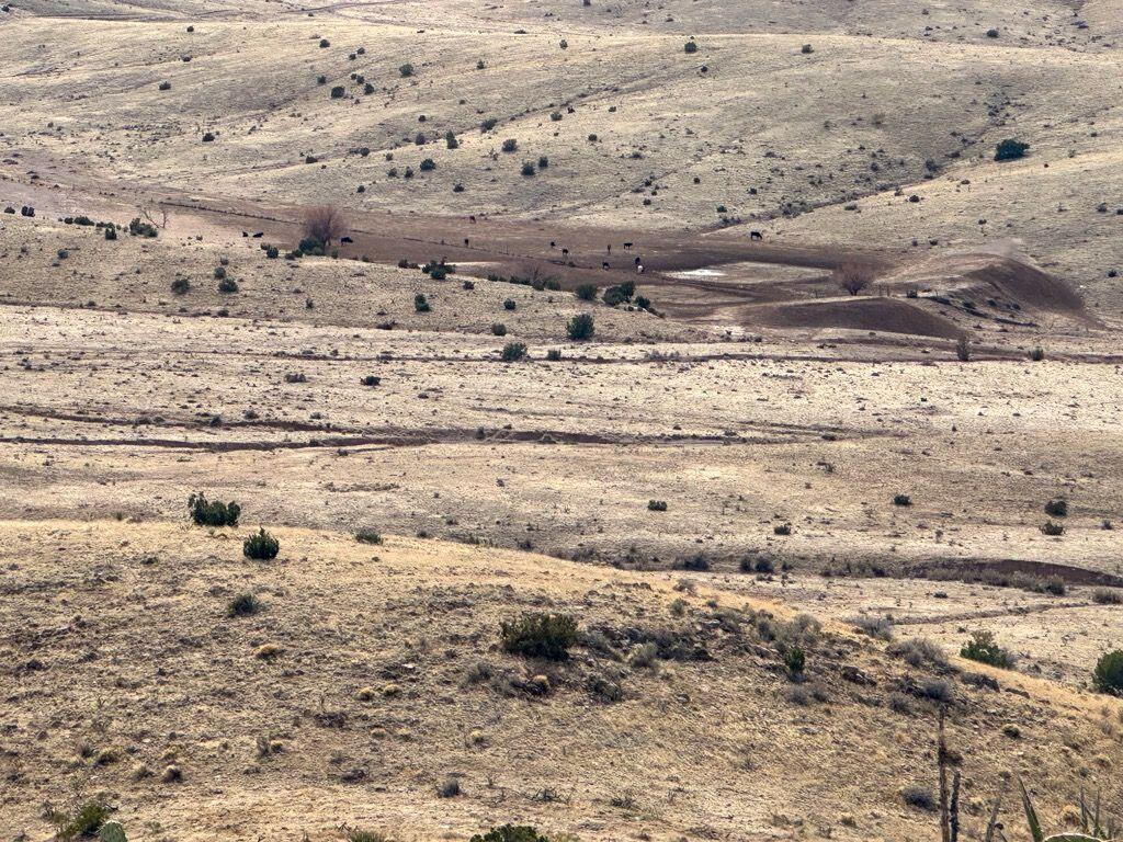 Photo 14 —  Table Mountain Road R004079