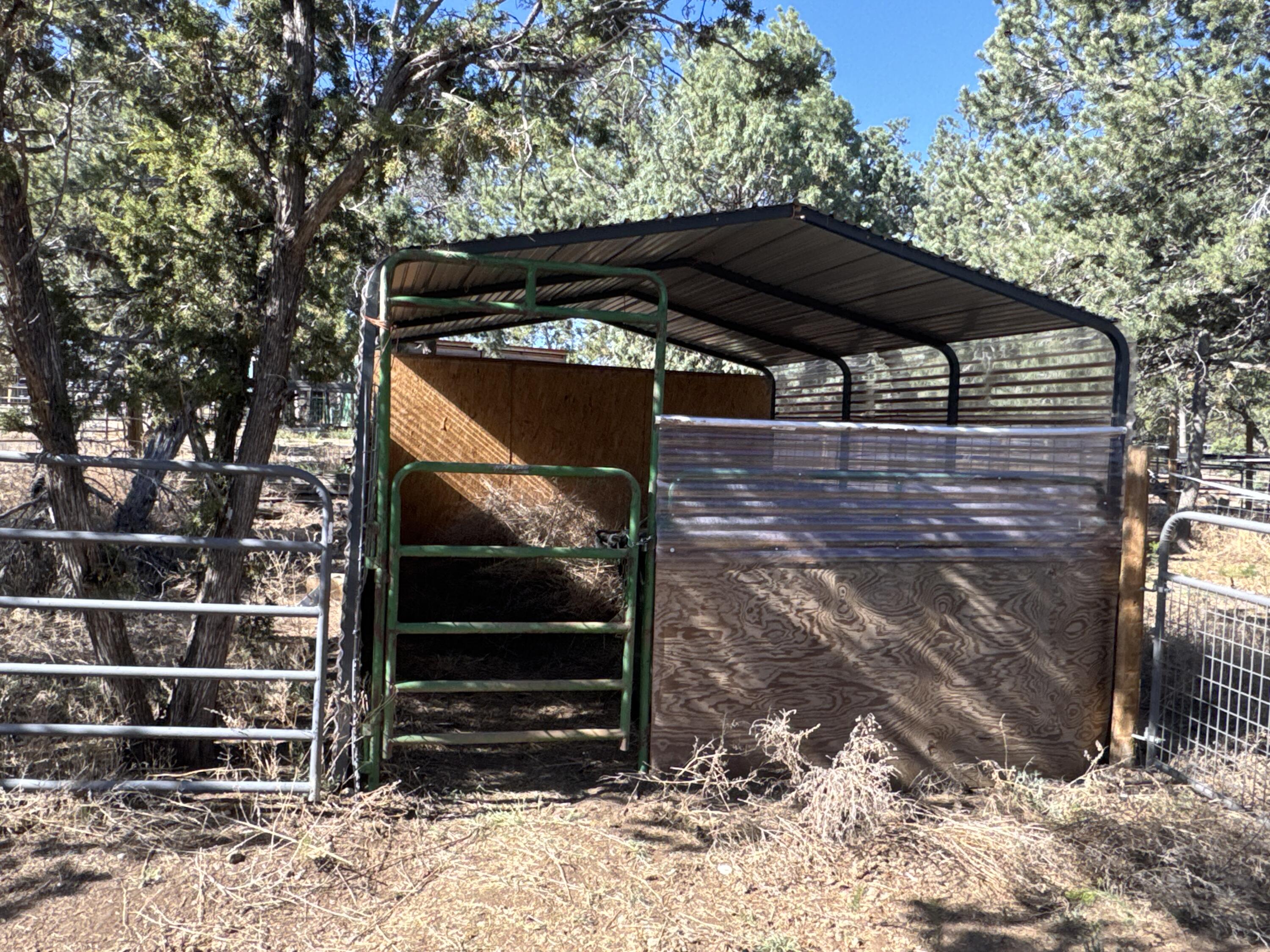 Photo 10 — 36 Williams Road