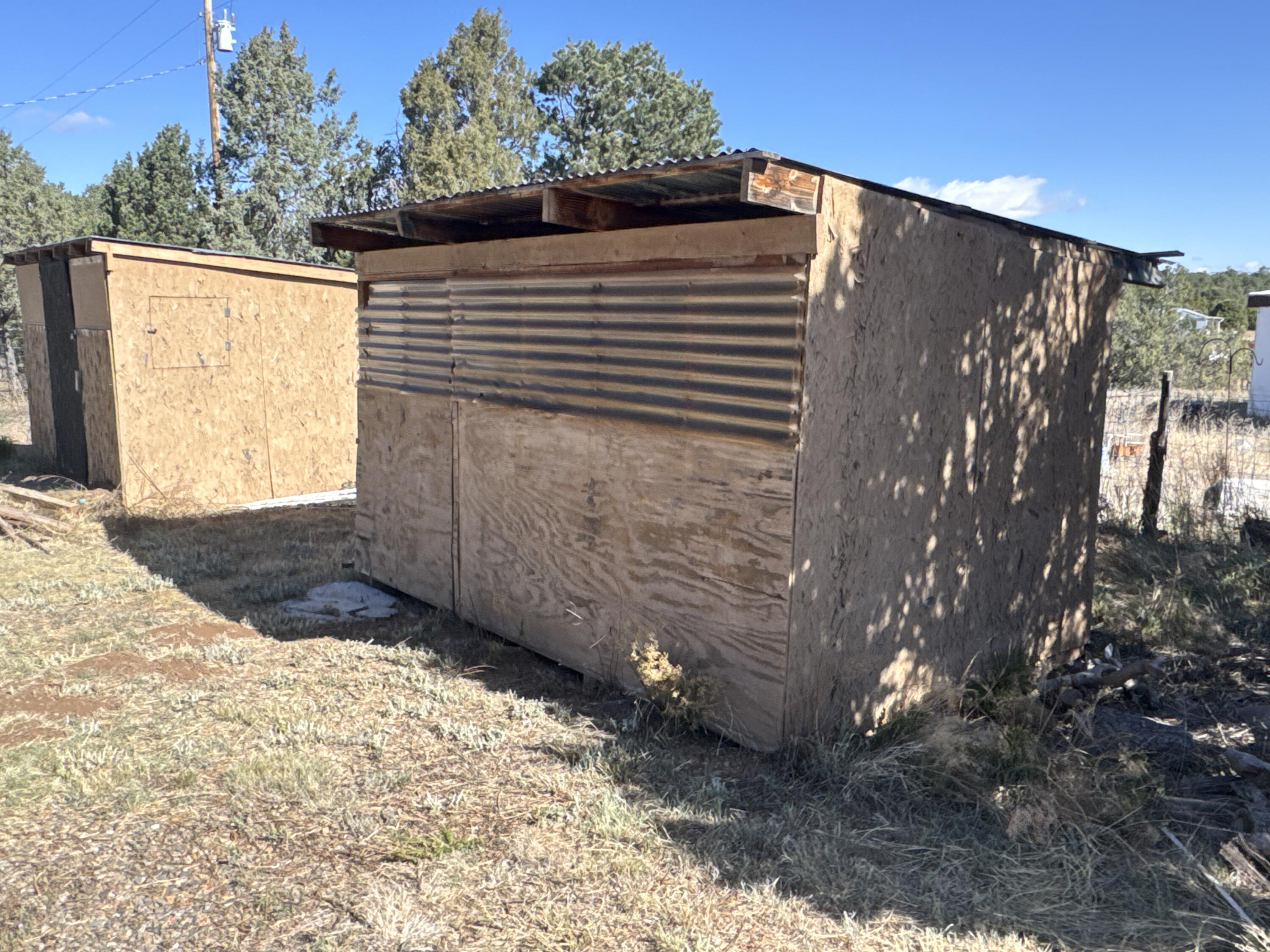 Photo 13 — 36 Williams Road