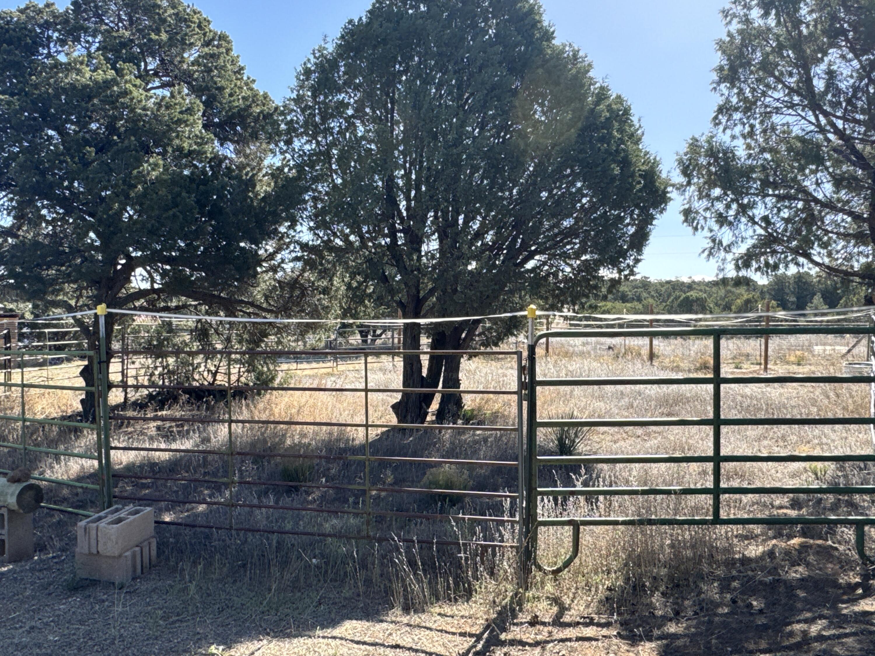 Photo 14 — 36 Williams Road
