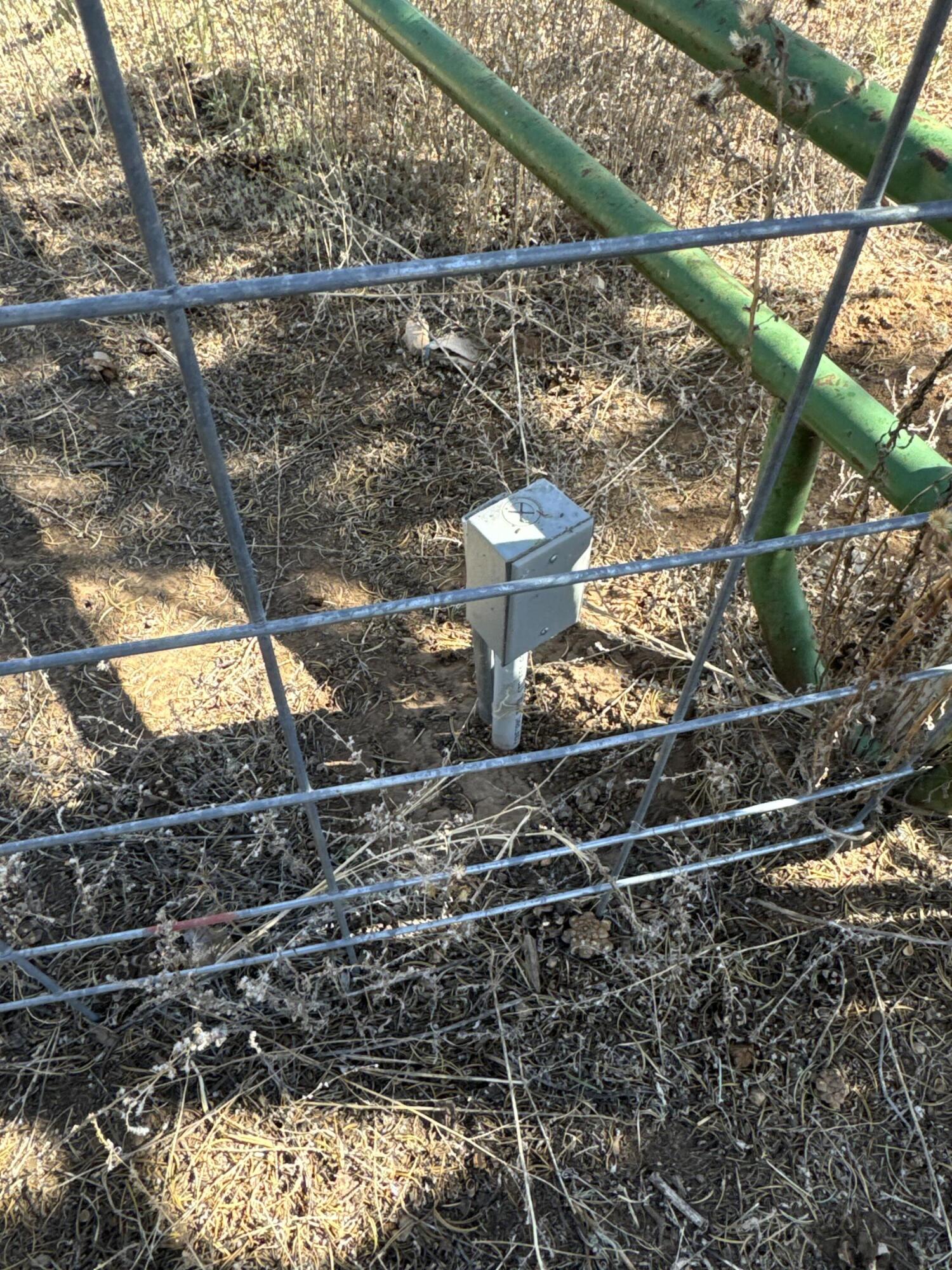 Photo 15 — 36 Williams Road