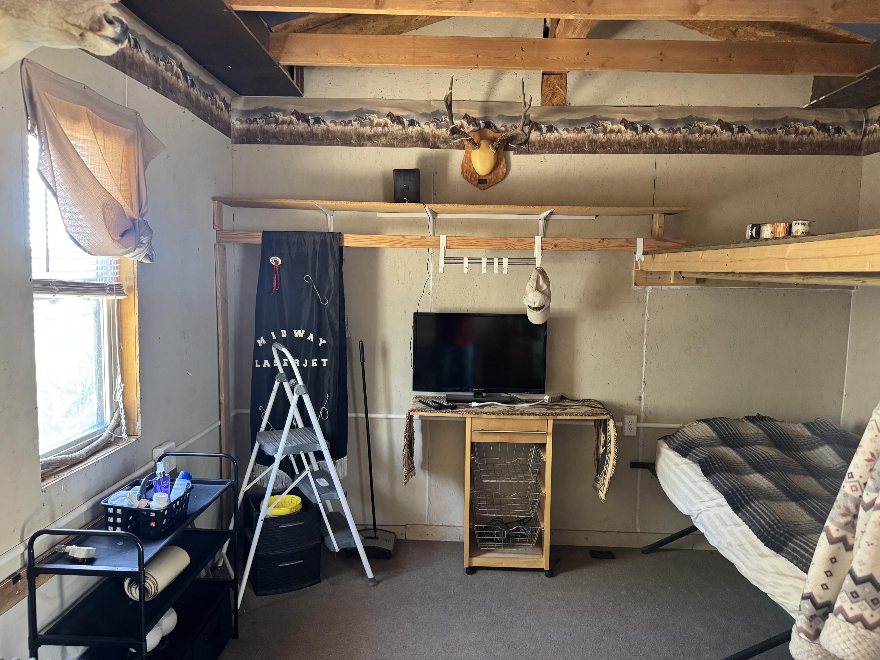 Photo 20 — 36 Williams Road