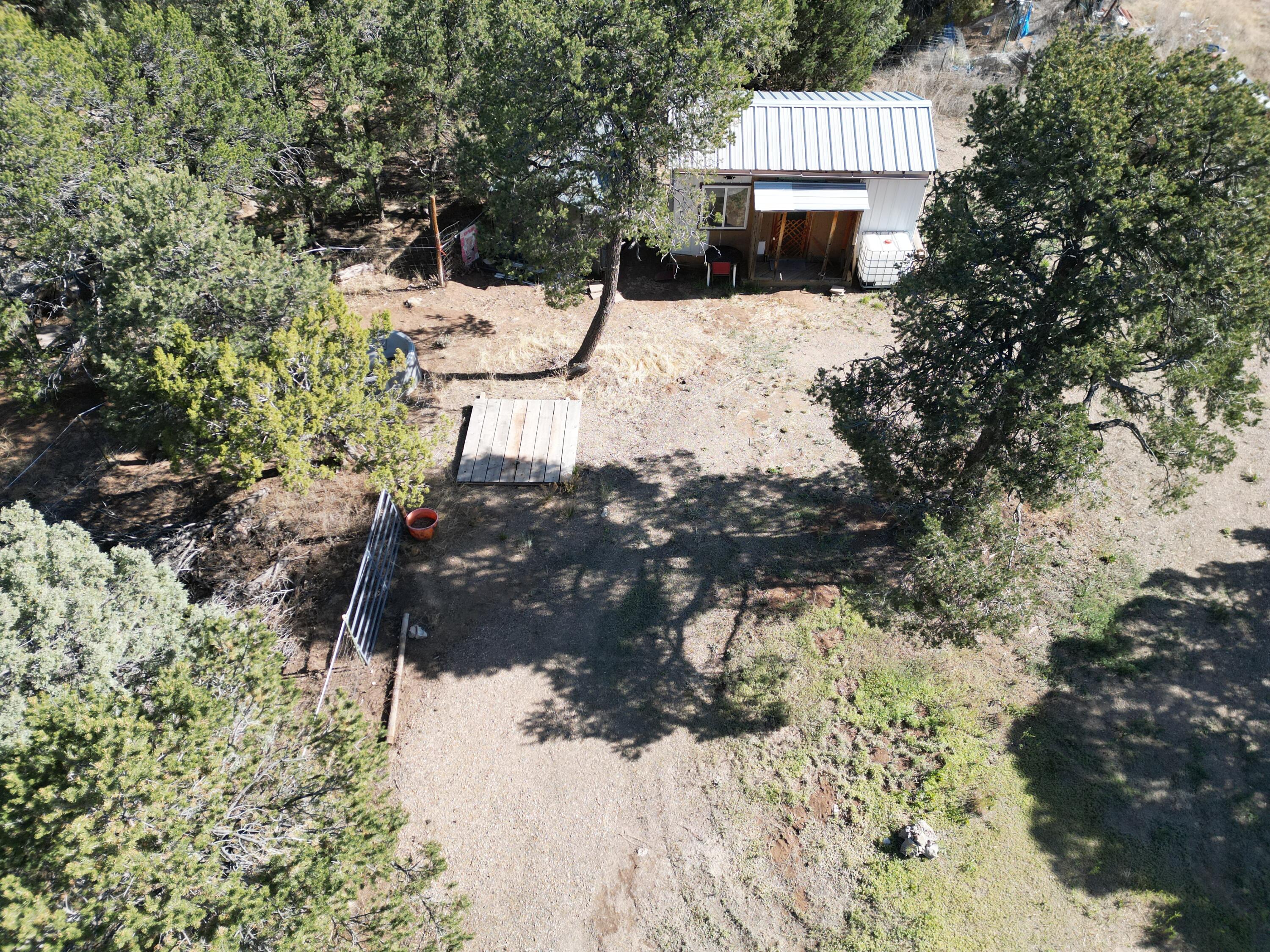Photo 6 — 36 Williams Road