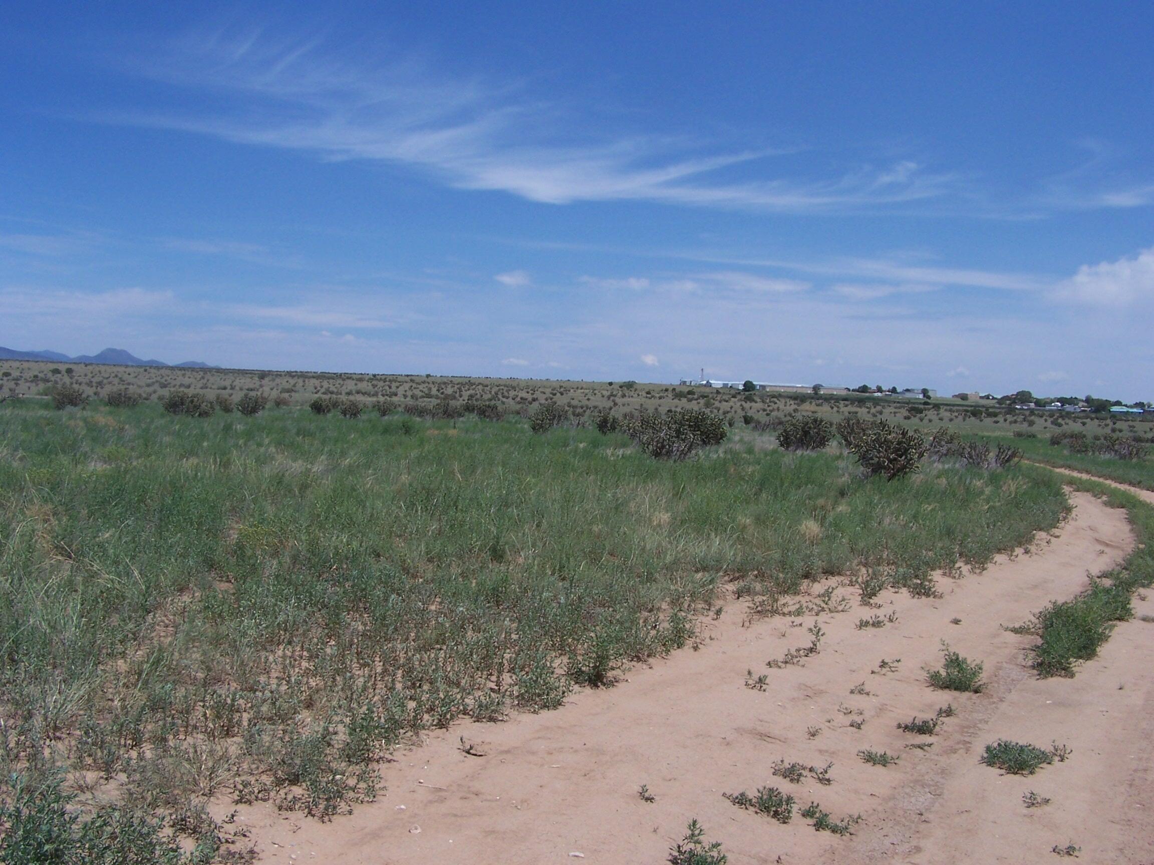 Photo 6 —  Hillcrest