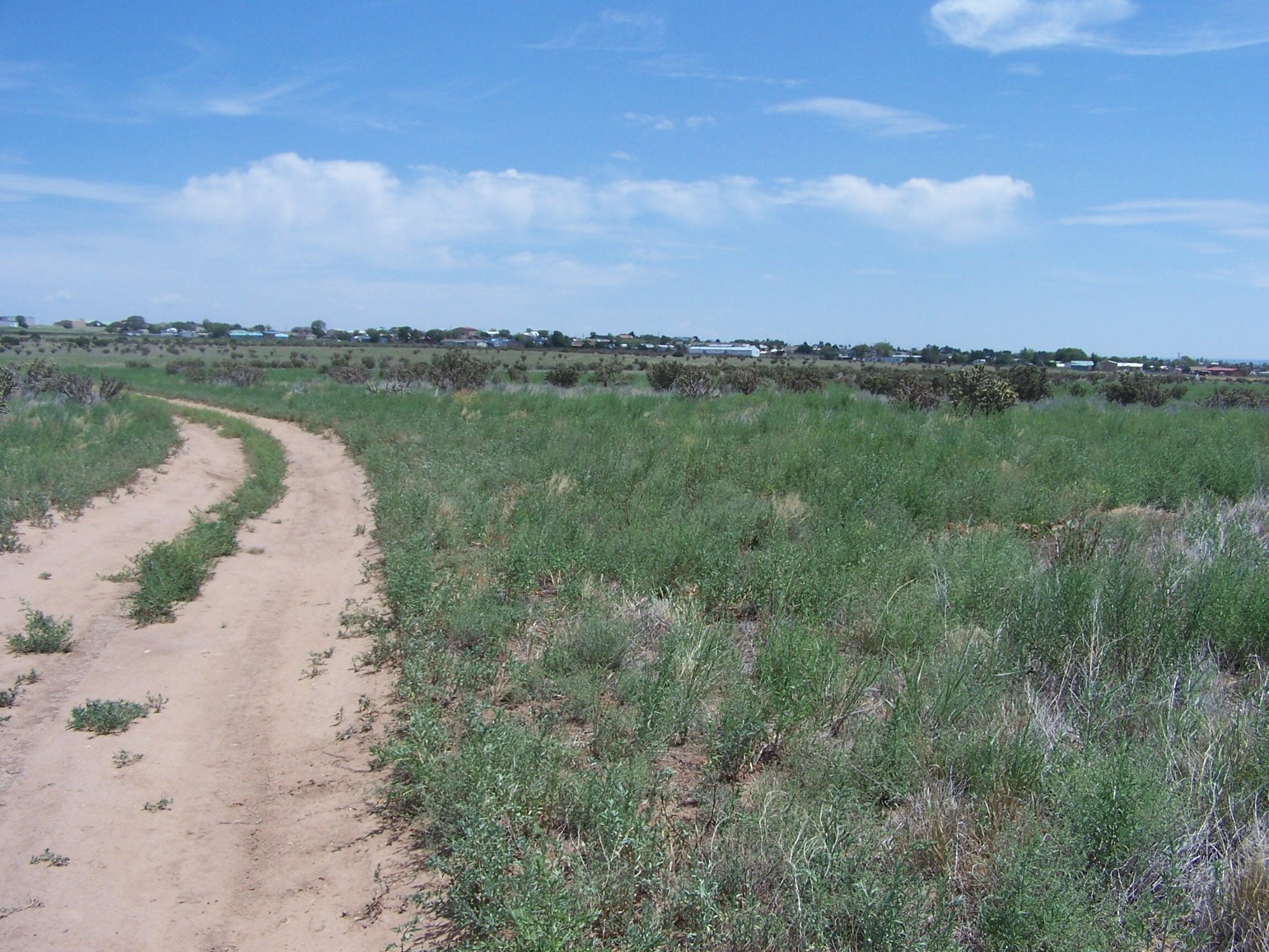 Photo 5 —  Hillcrest