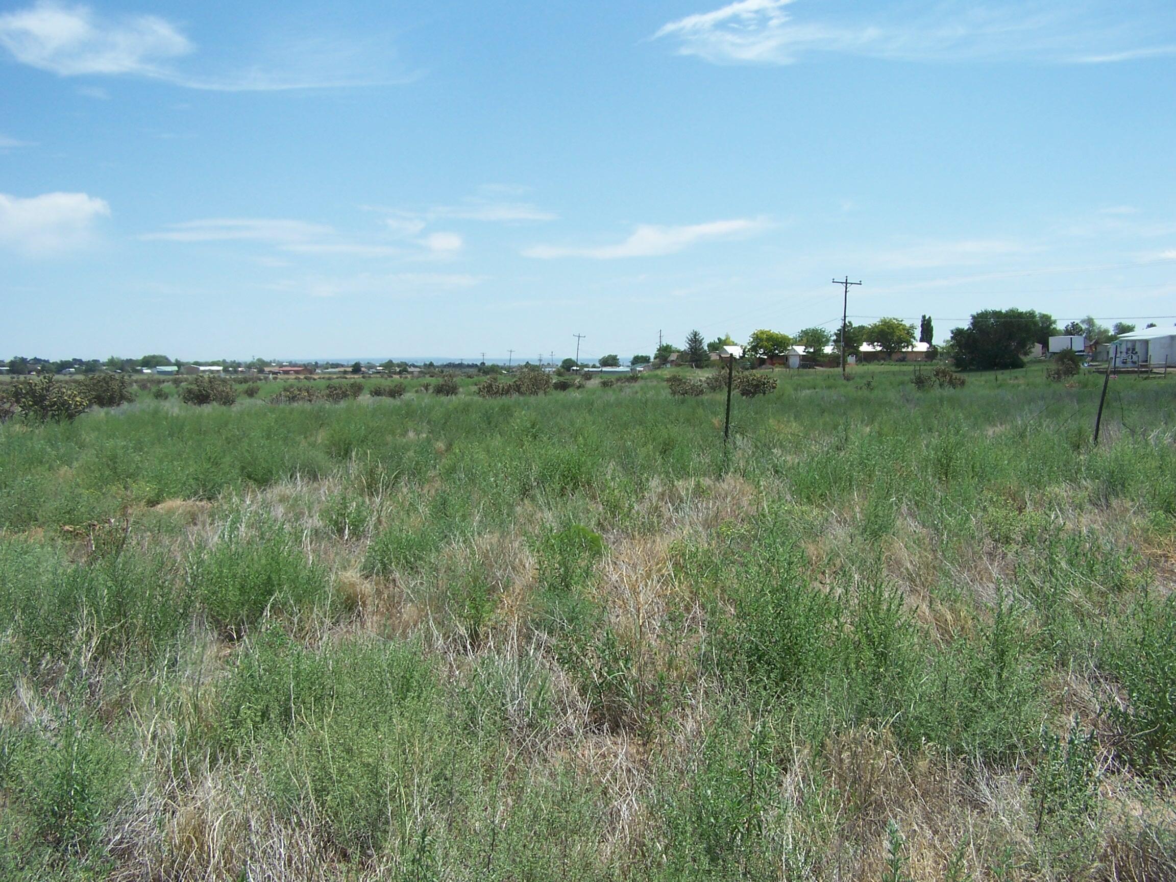 Photo 4 —  Hillcrest
