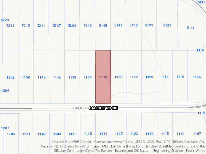 Photo 9 — 1130 Calicut (U25 B48 L32) Road NE