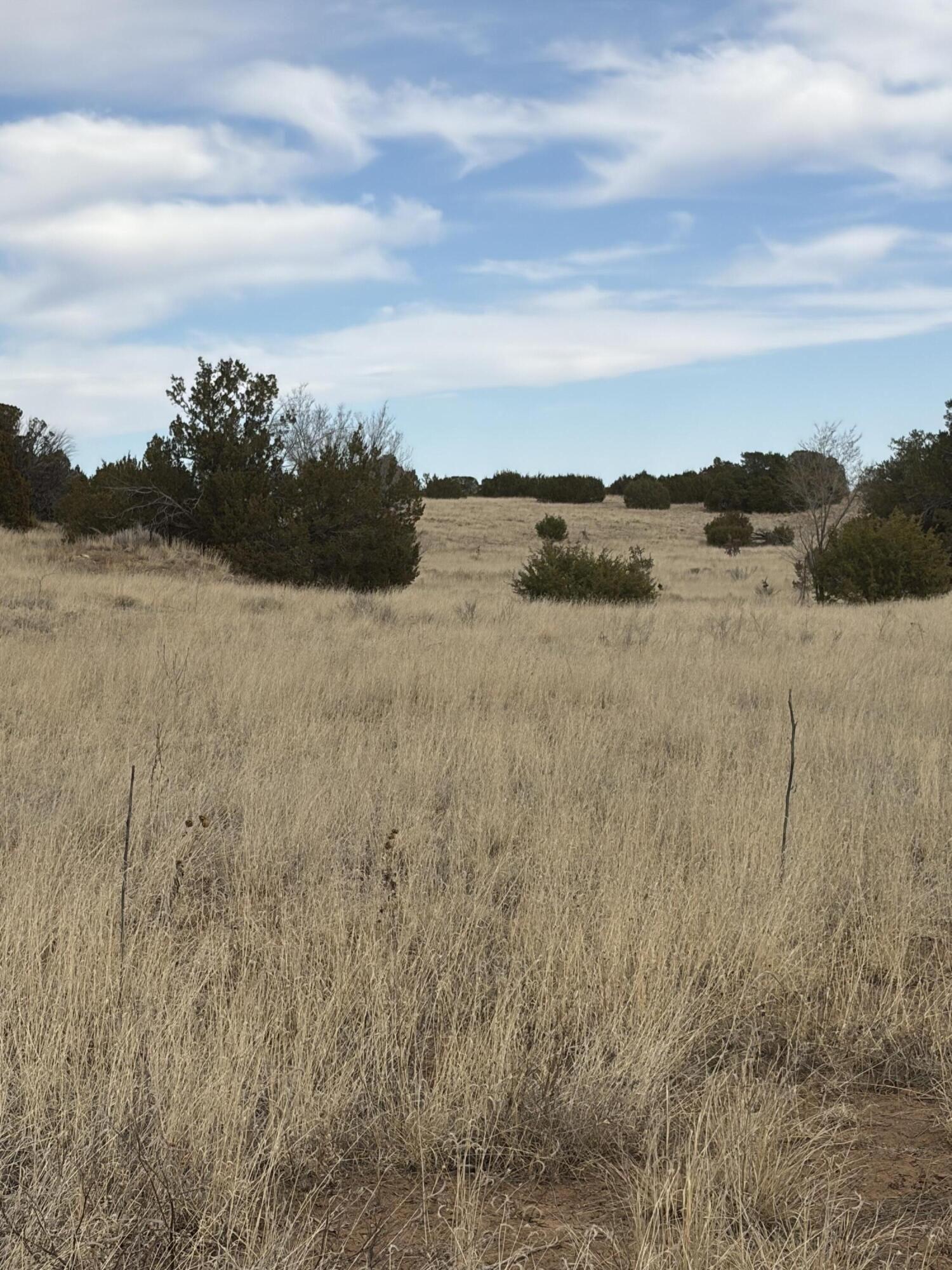 TBD Linda Vista Drive, Tajique, NM