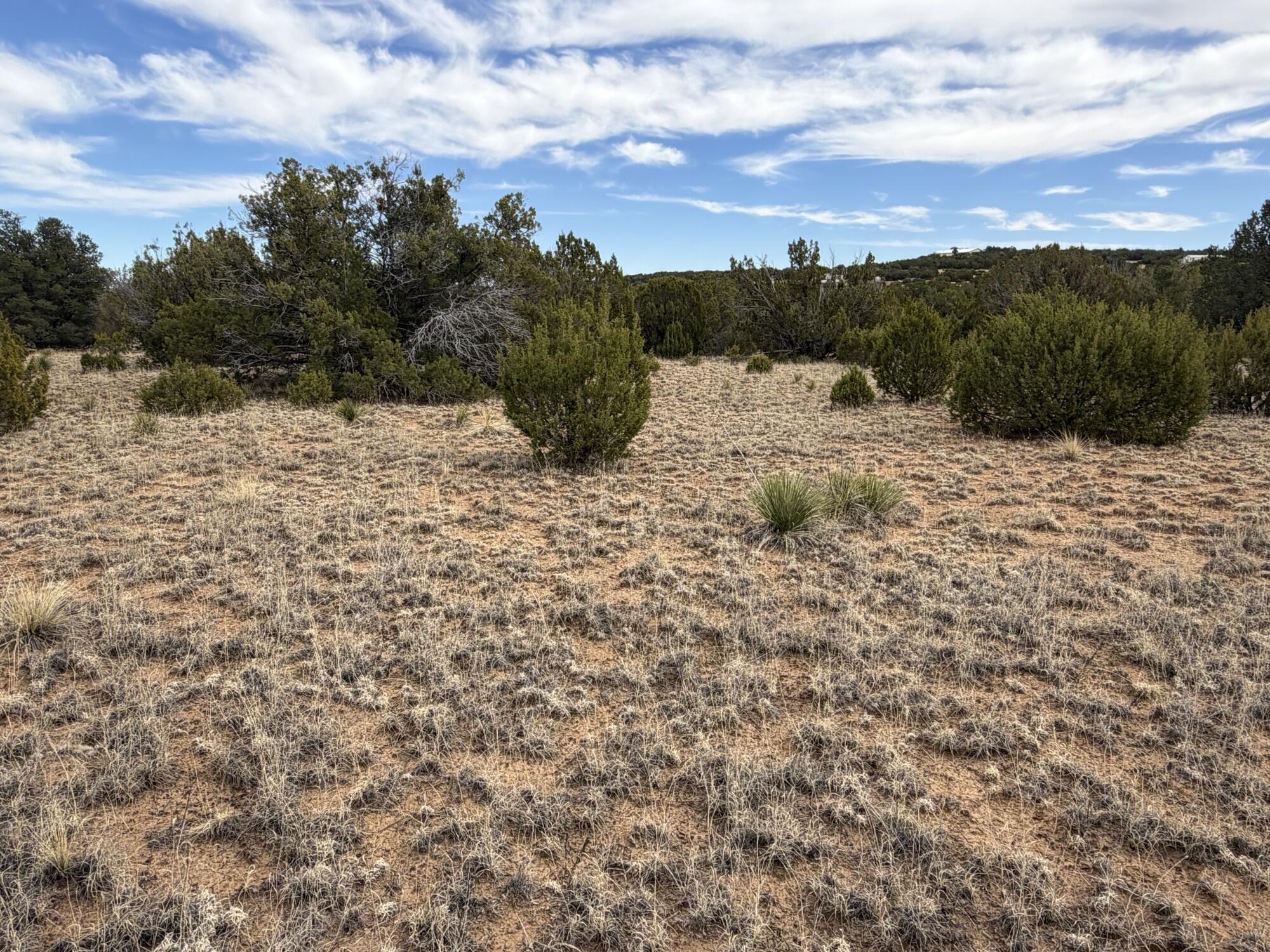 Photo 5 — TBD Linda Vista Drive