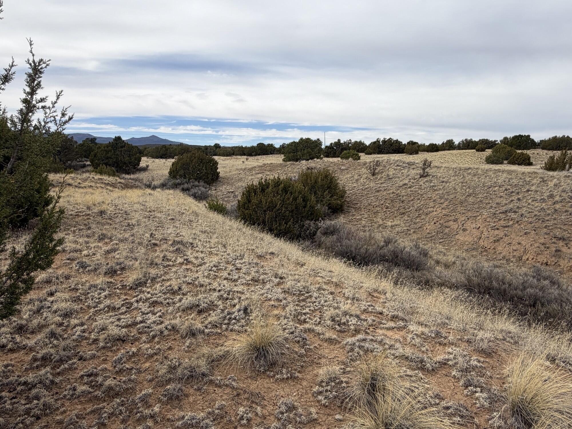 Photo 4 — TBD Linda Vista Drive