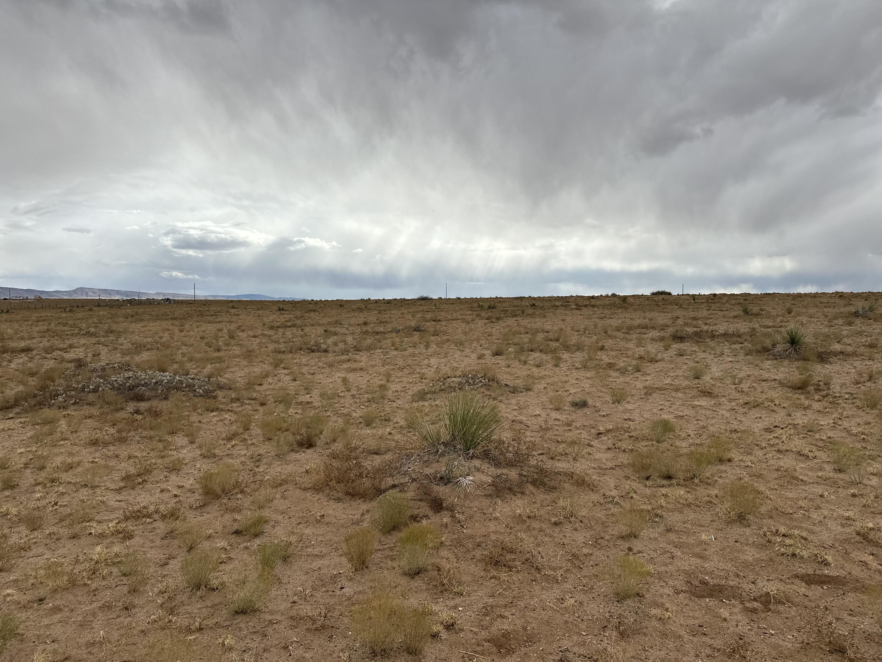 Photo 6 — 6 Lots Rio Grande Estates Avenue