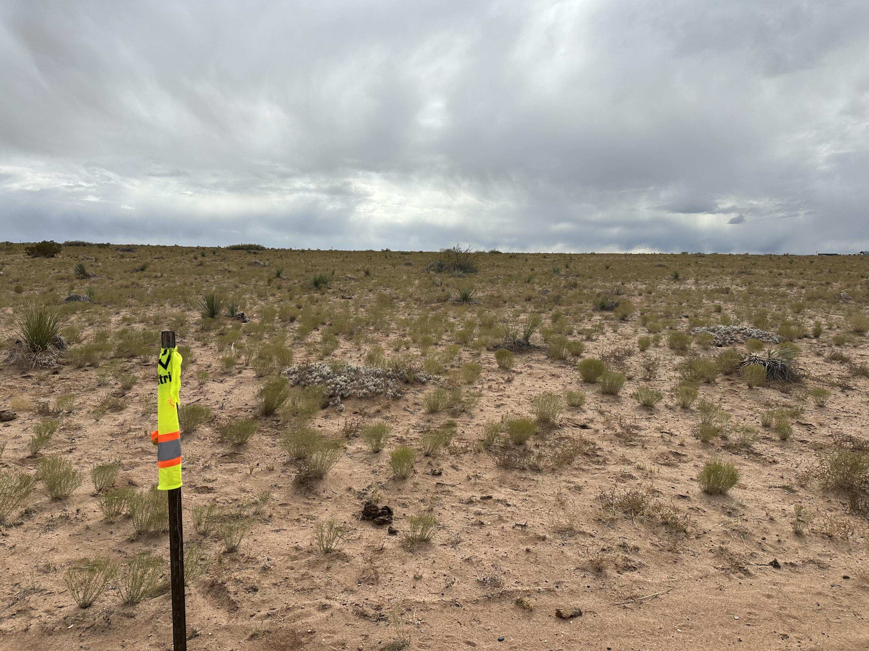 Photo 4 — 6 Lots Rio Grande Estates Avenue