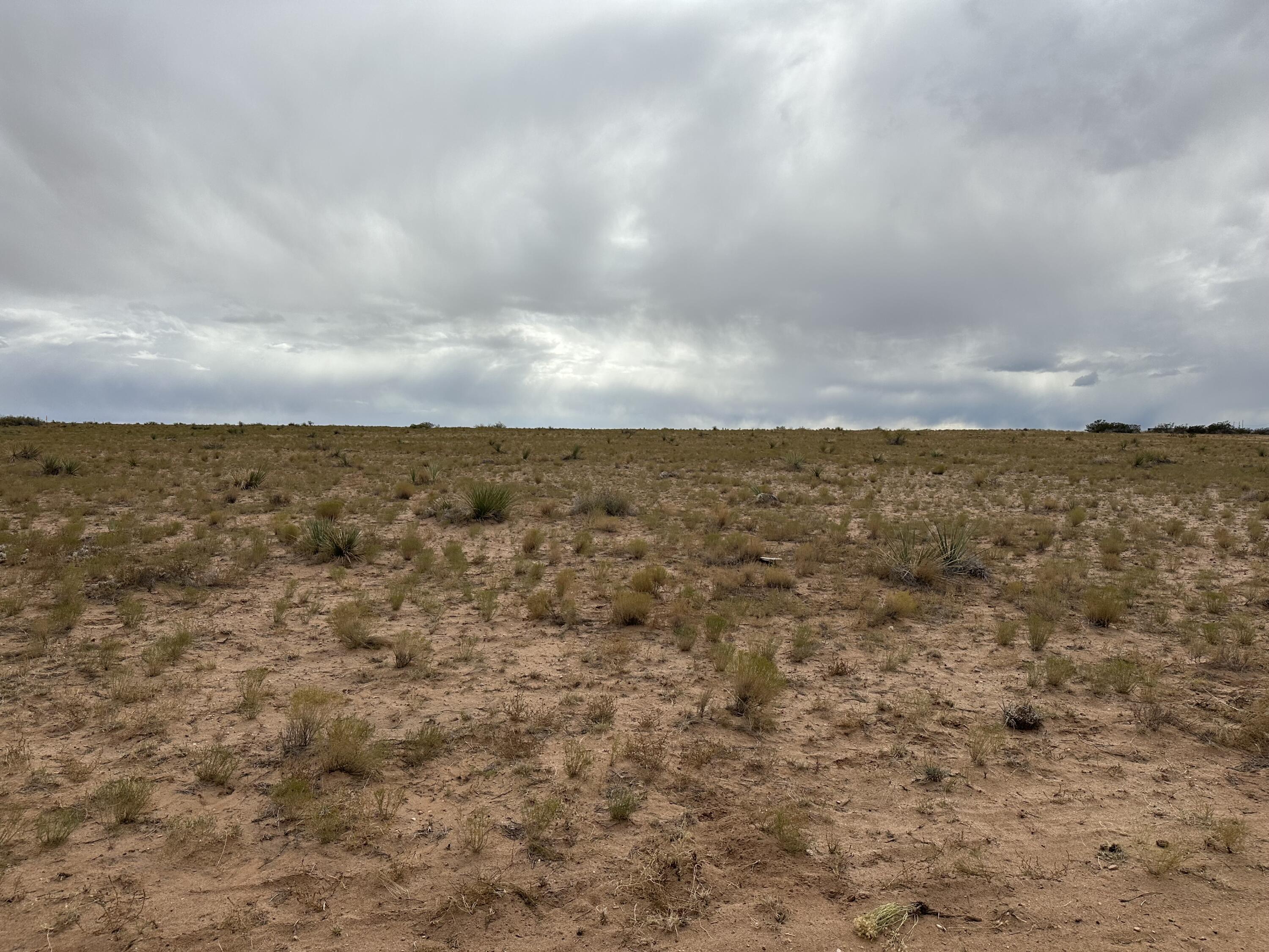 Photo 2 — 6 Lots Rio Grande Estates Avenue
