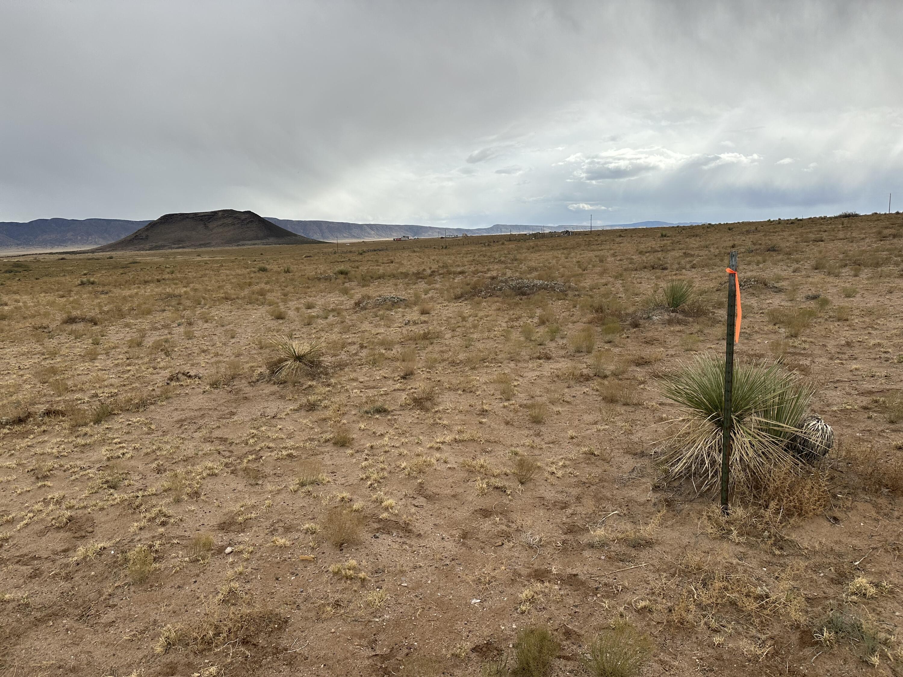 Photo 14 — 6 Lots Rio Grande Estates Avenue