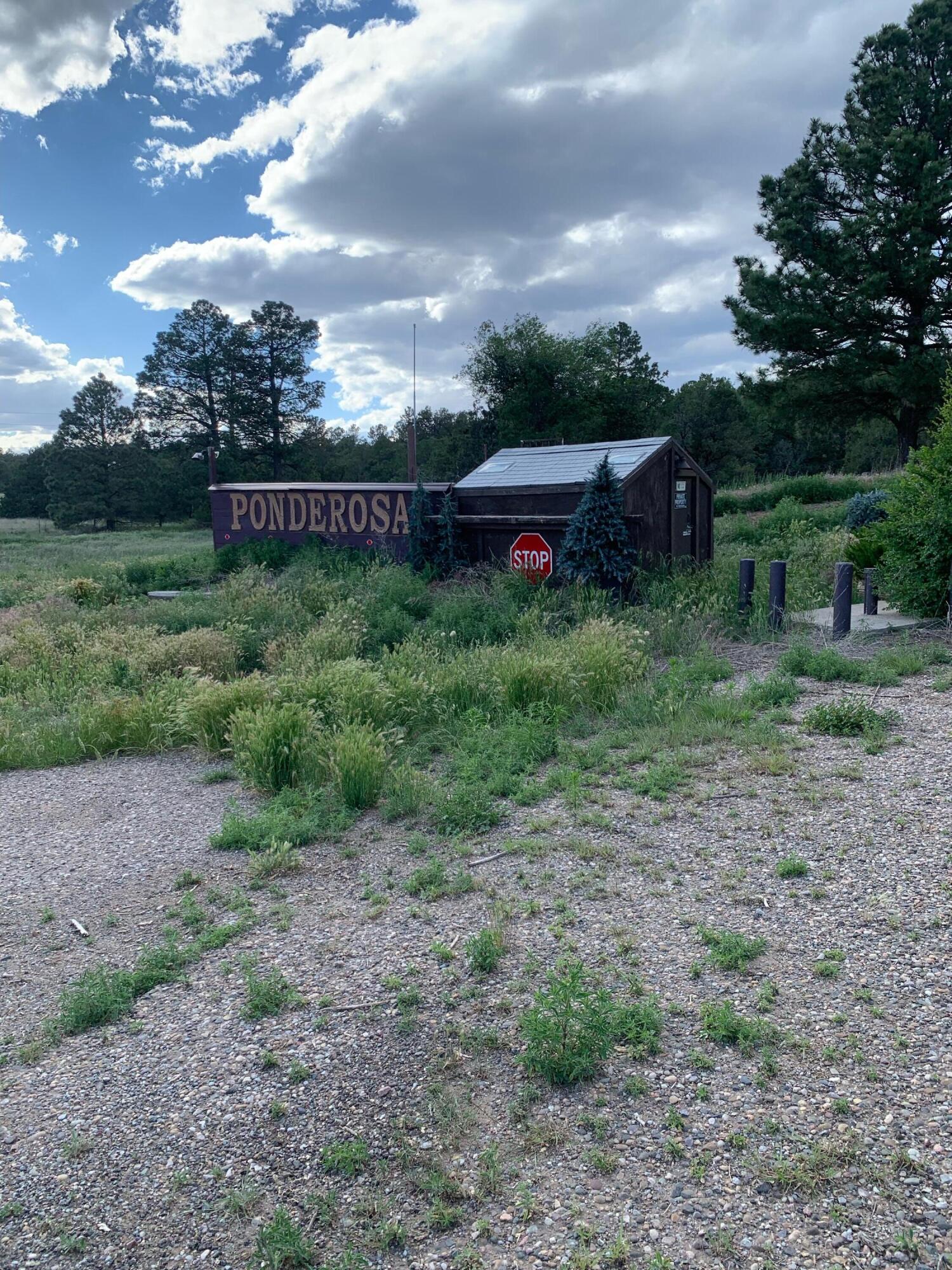 Photo 9 — 10676 Nm 337