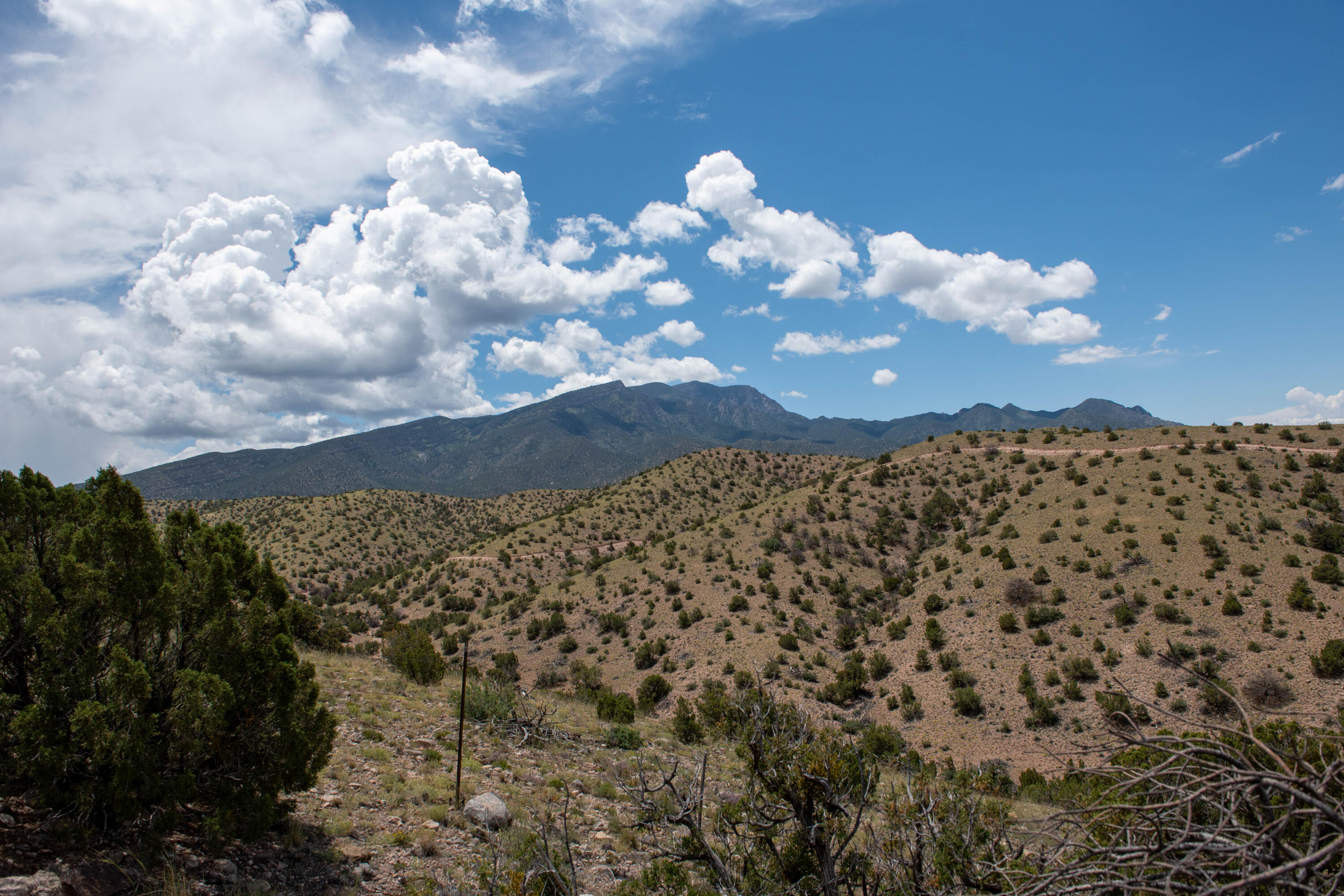 Photo 6 — 14c Camino Alto