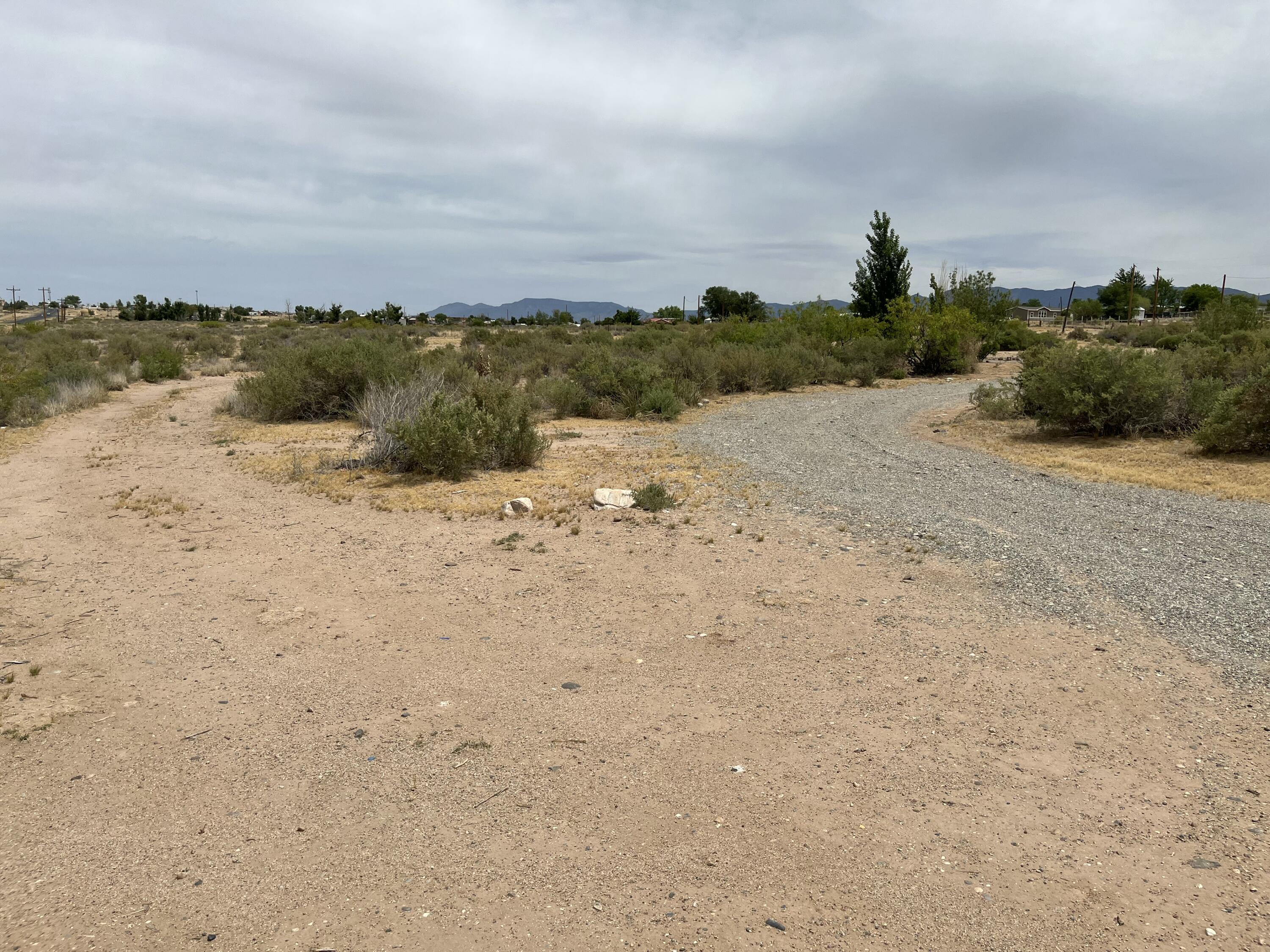 Photo 11 — 81 Storey Avenue