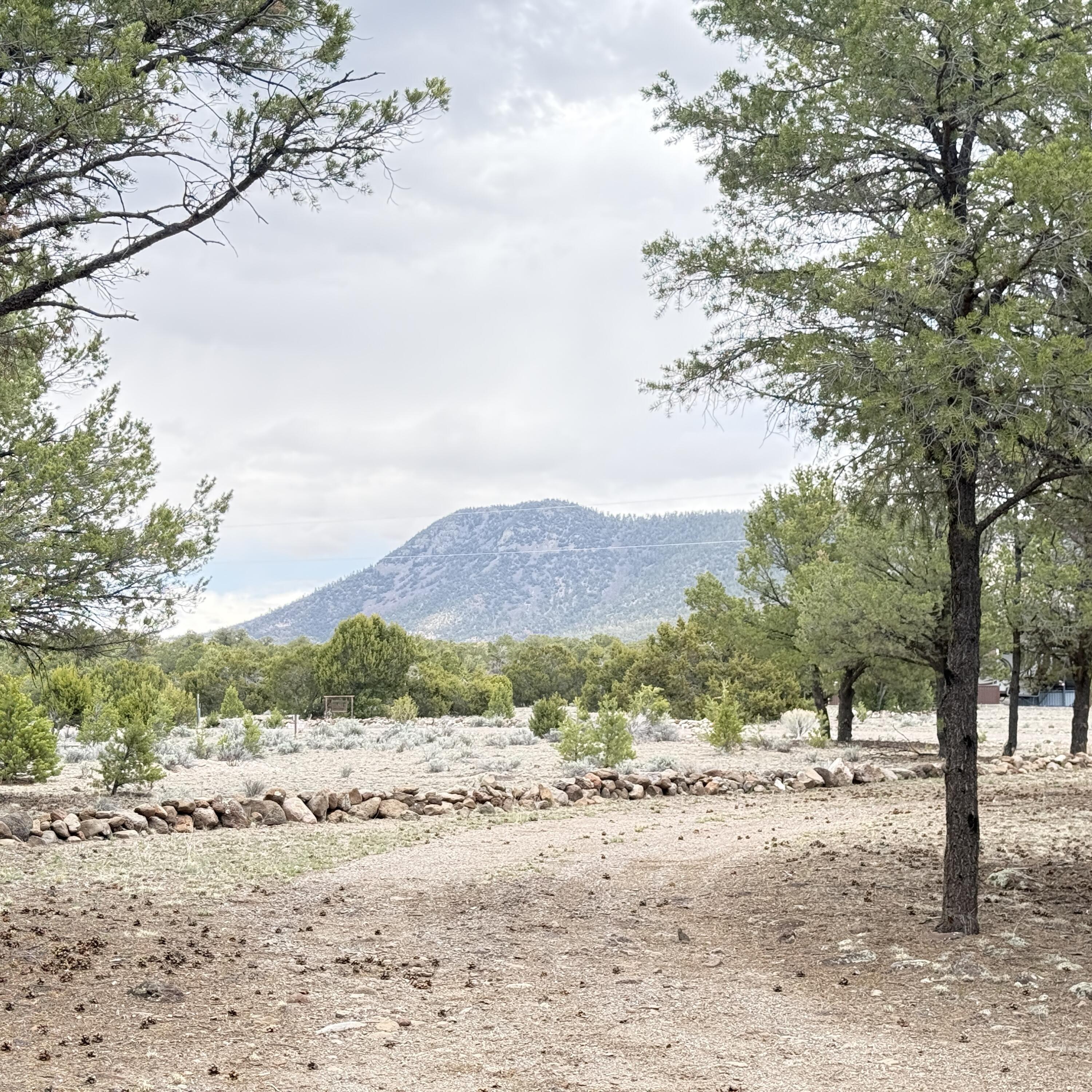 Photo 10 — 21 Branding Iron Road