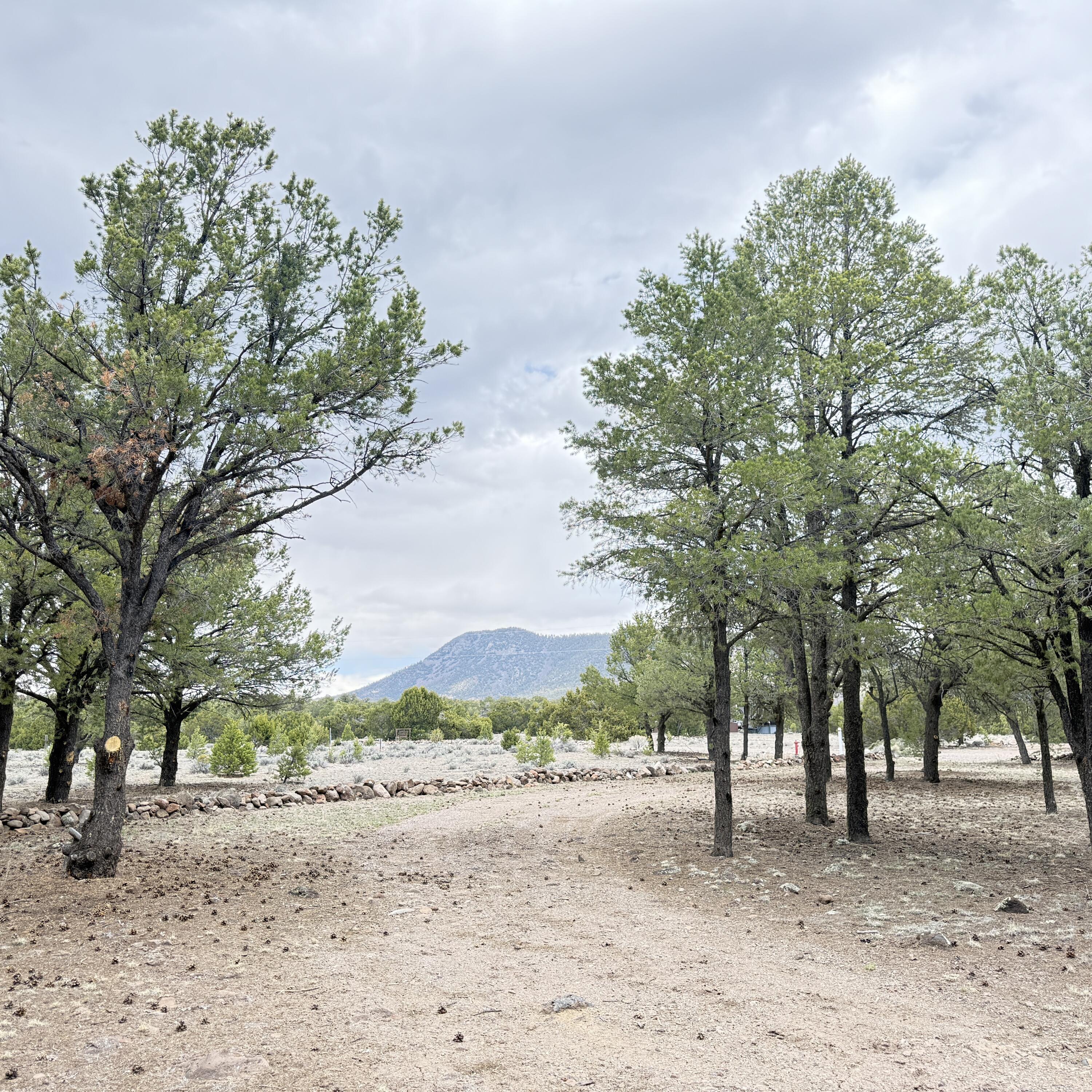 Photo 9 — 21 Branding Iron Road
