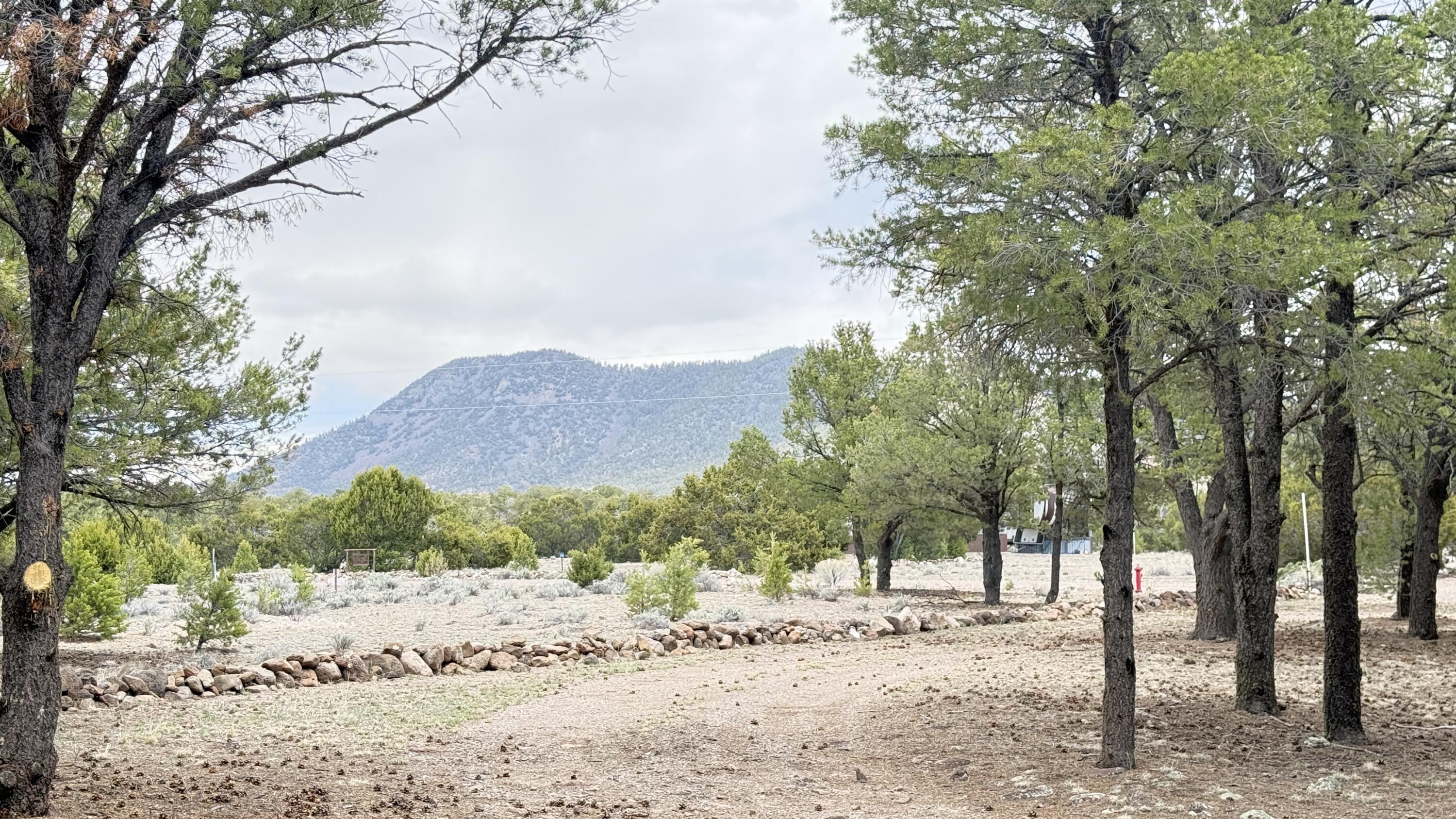 Photo 8 — 21 Branding Iron Road