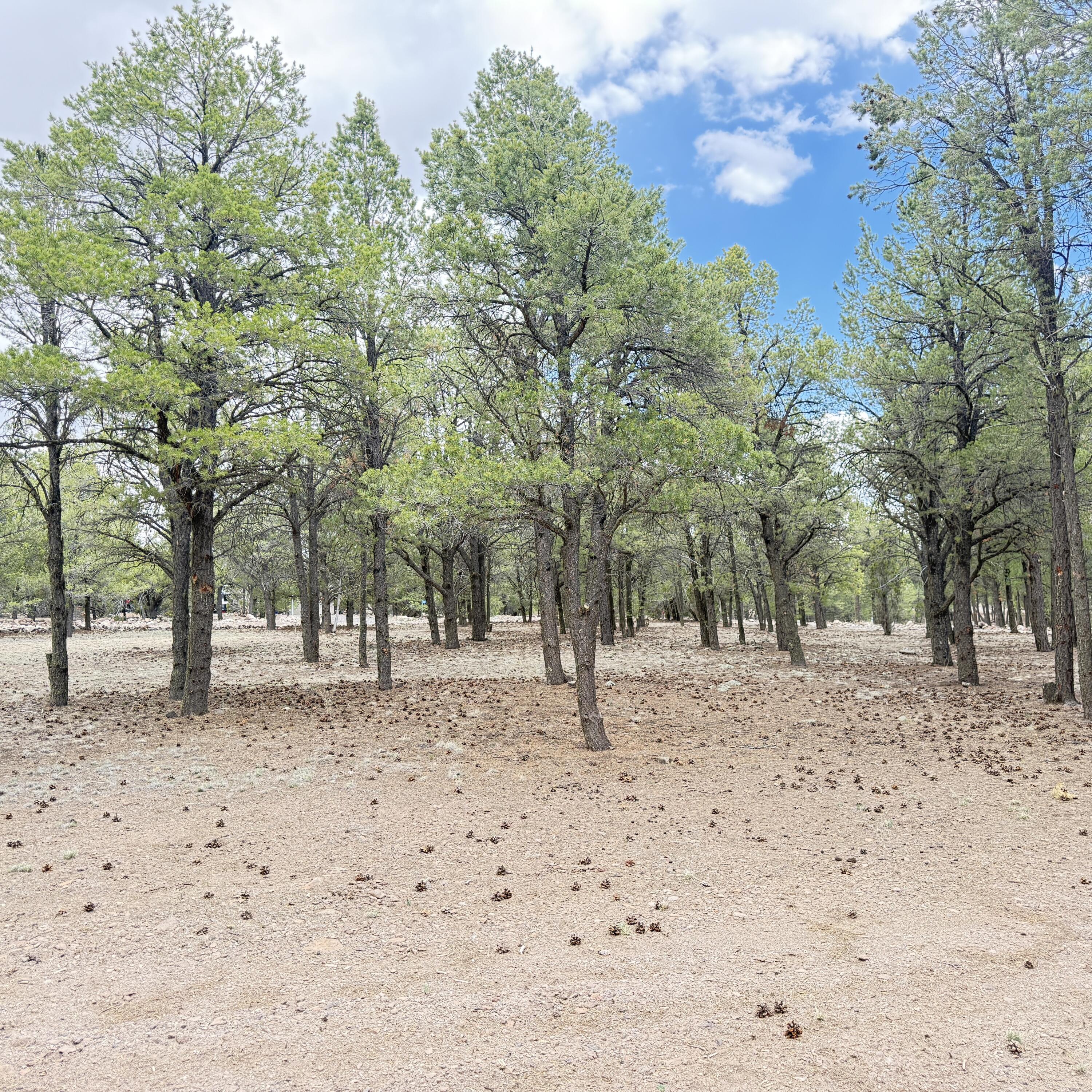 Photo 7 — 21 Branding Iron Road