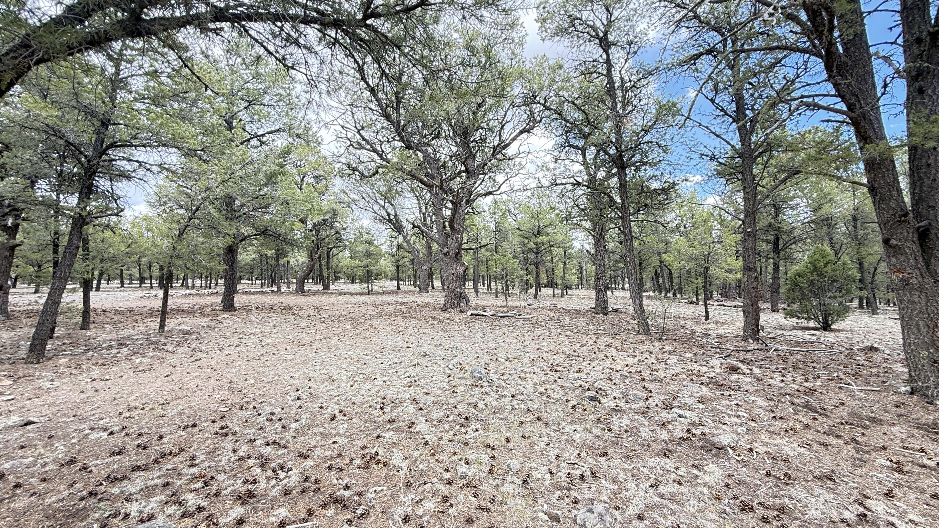 Photo 6 — 21 Branding Iron Road