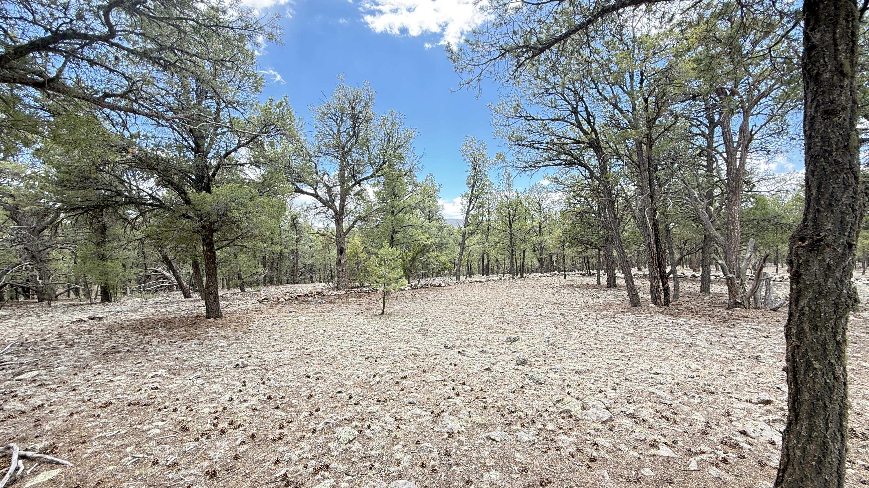 Photo 5 — 21 Branding Iron Road