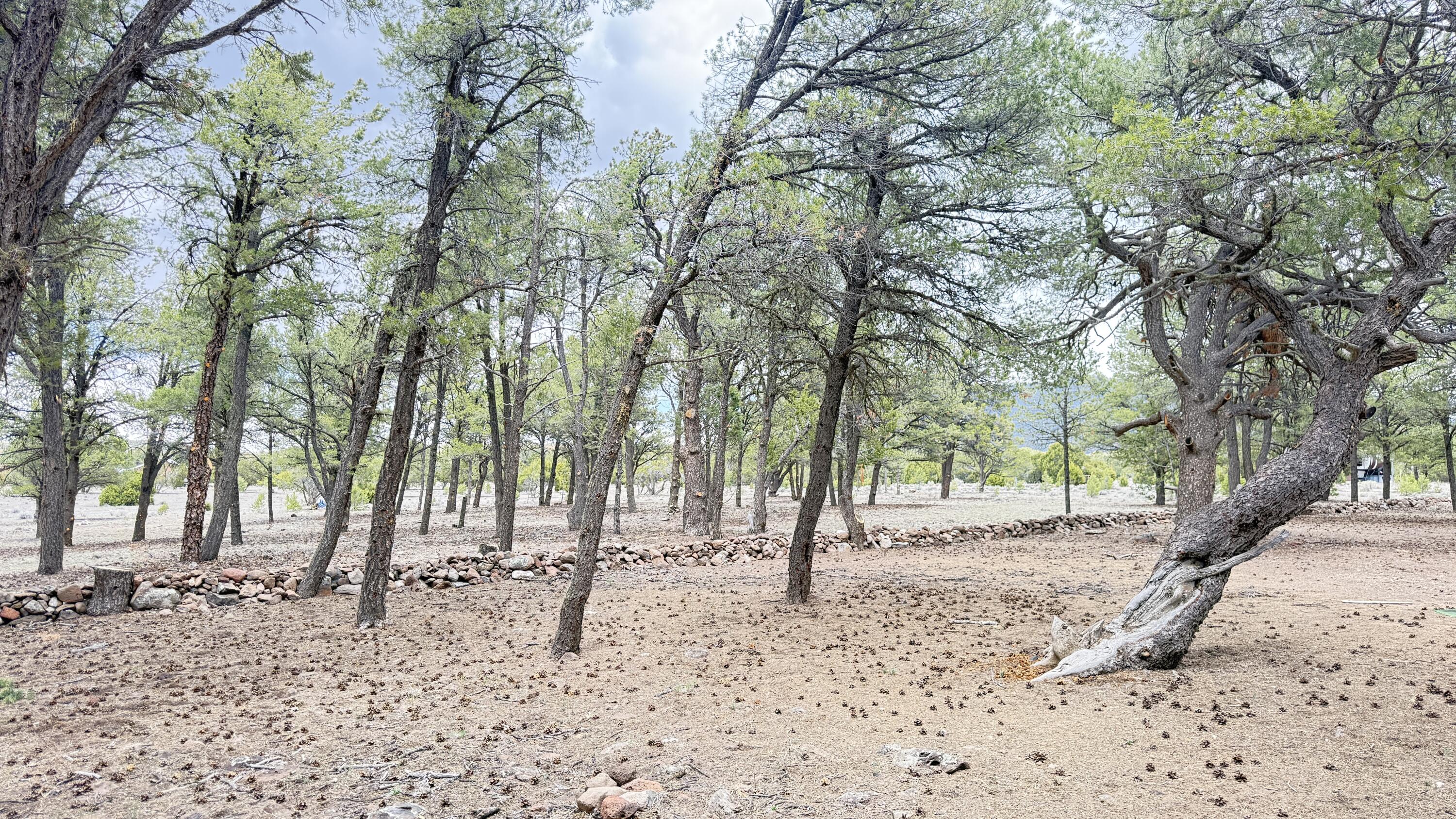 Photo 4 — 21 Branding Iron Road