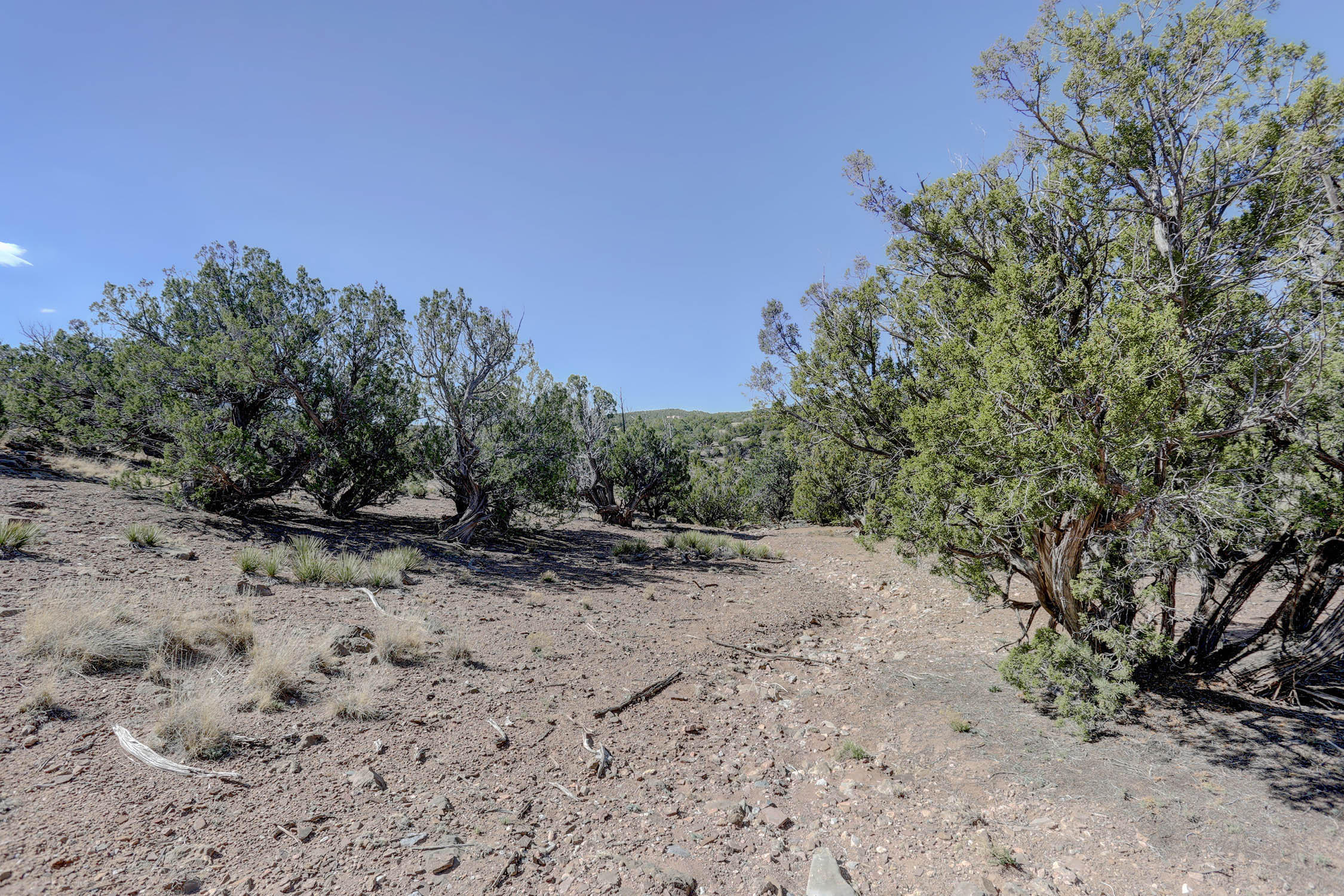 Photo 20 —  GOLD MINE Trail
