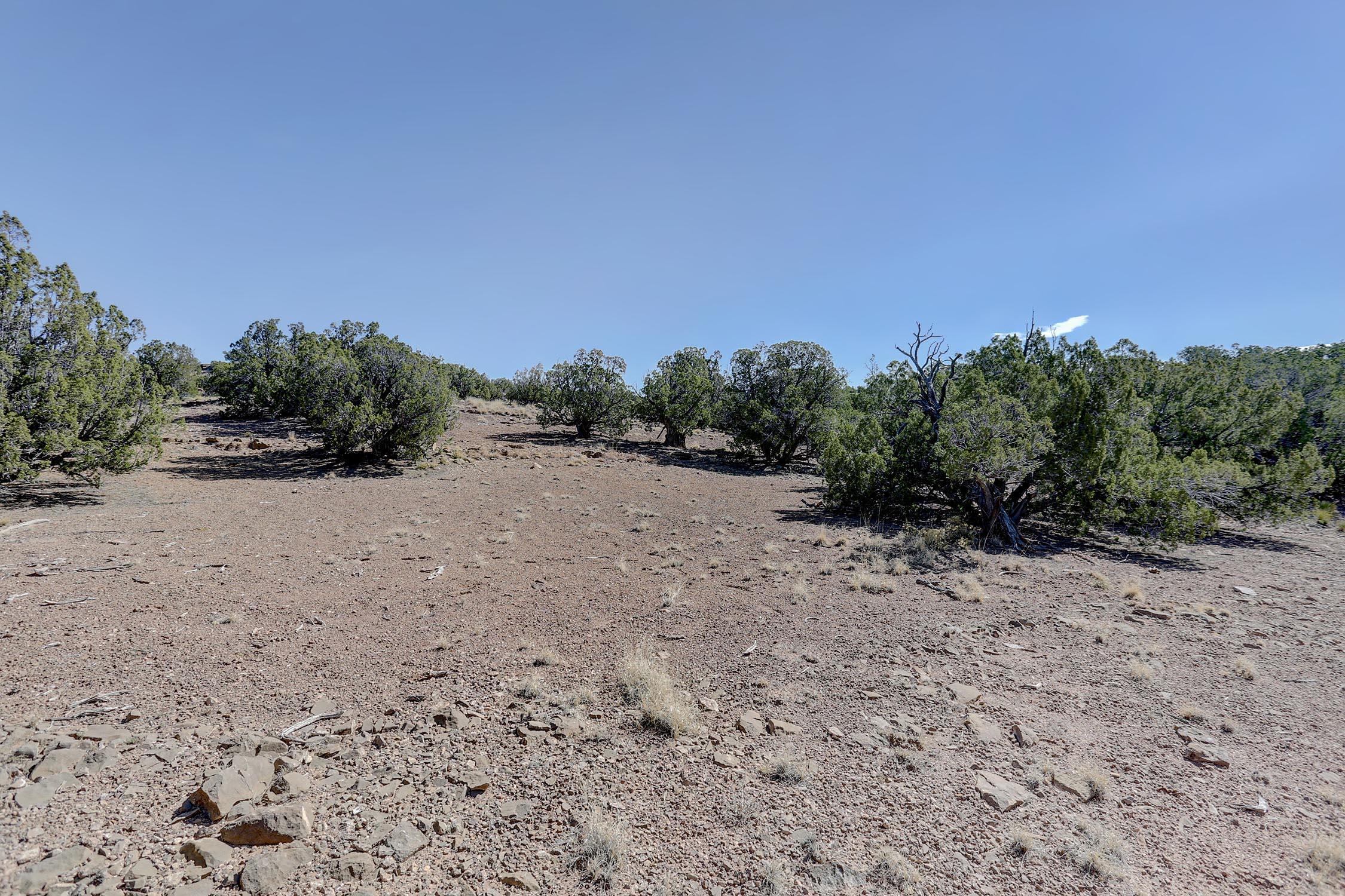 Photo 19 —  GOLD MINE Trail