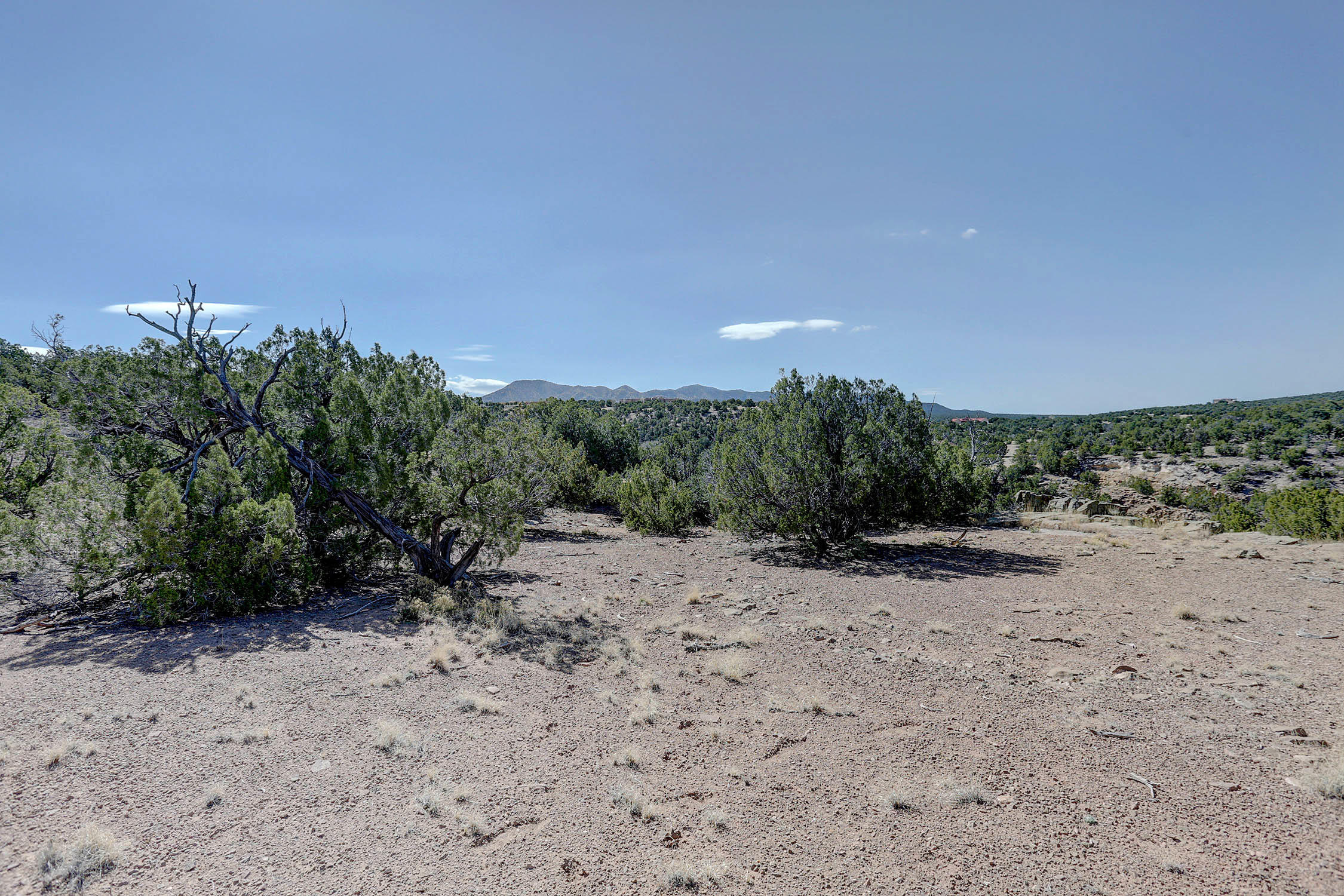Photo 18 —  GOLD MINE Trail