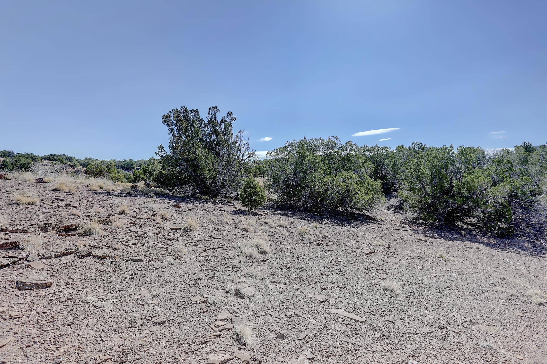 Photo 17 —  GOLD MINE Trail