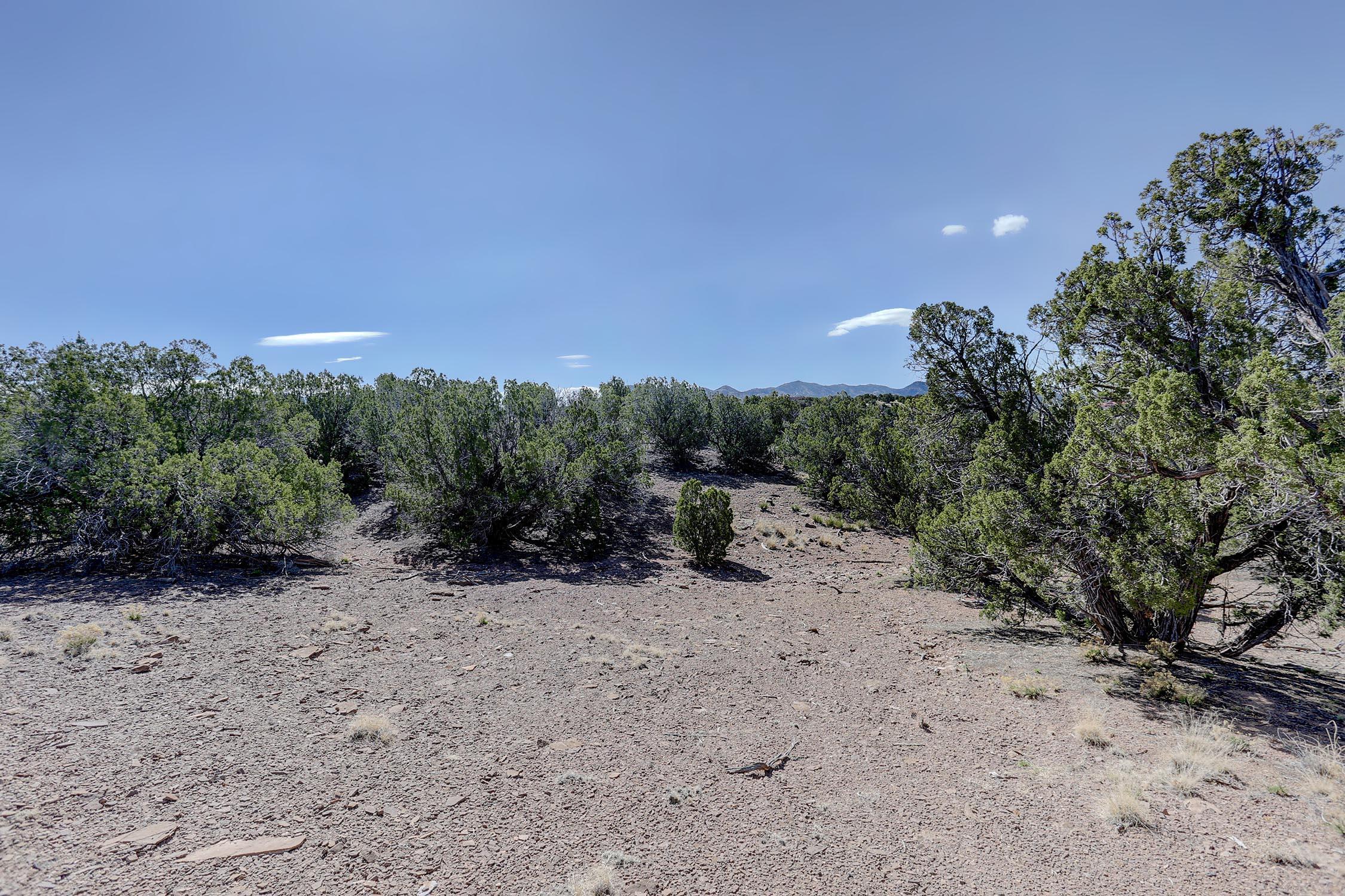 Photo 16 —  GOLD MINE Trail