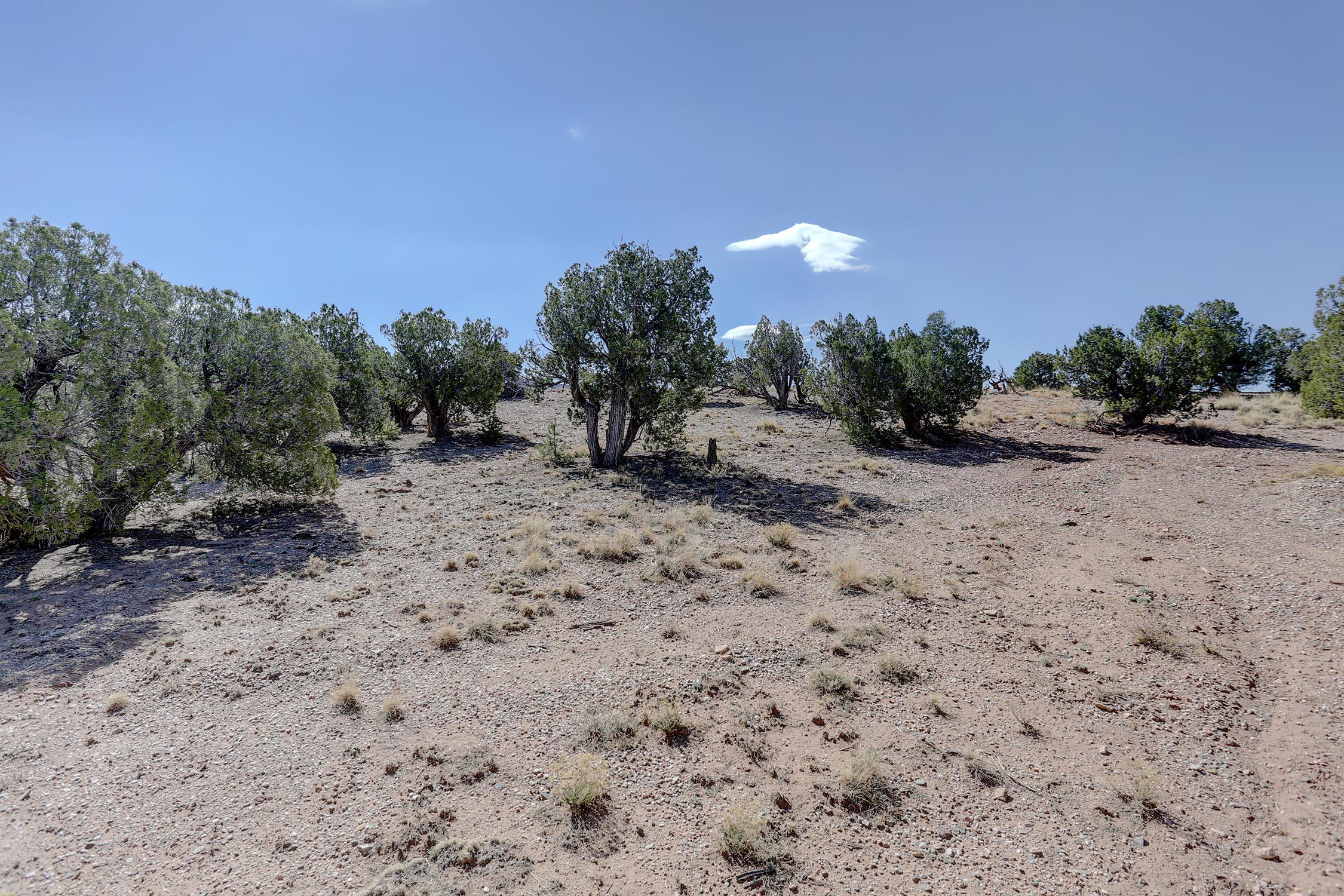 Photo 15 —  GOLD MINE Trail
