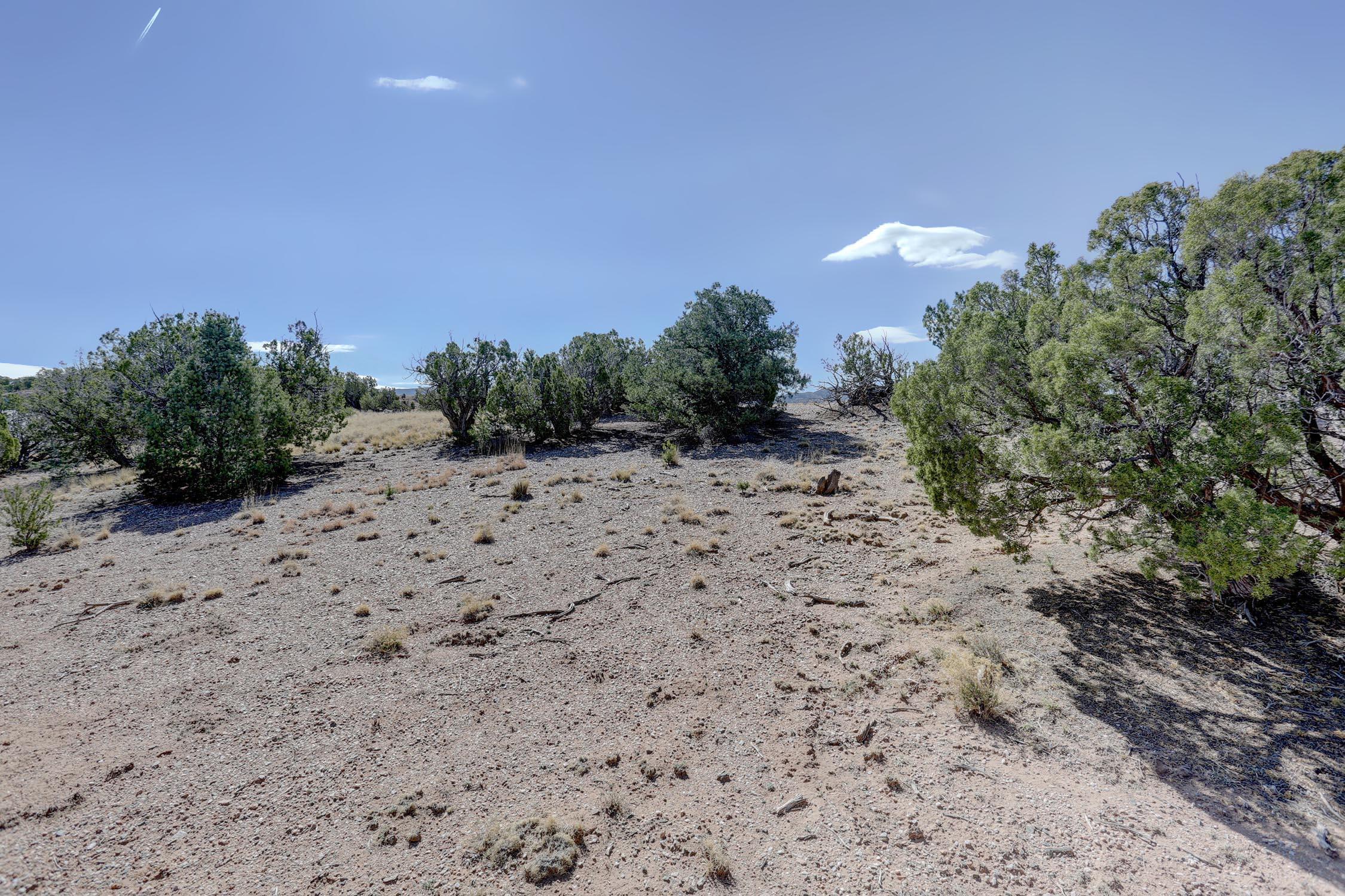 Photo 14 —  GOLD MINE Trail