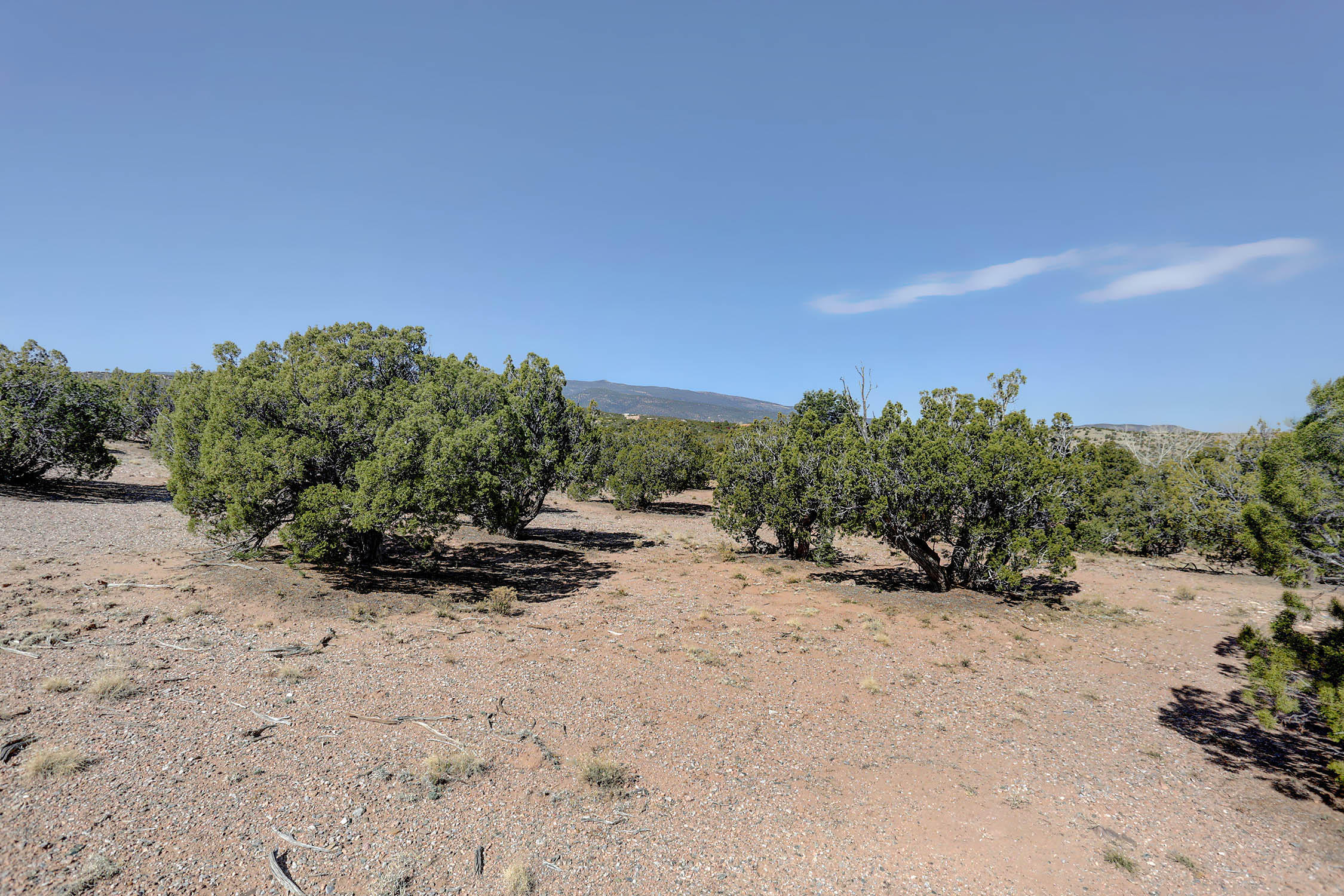 Photo 13 —  GOLD MINE Trail