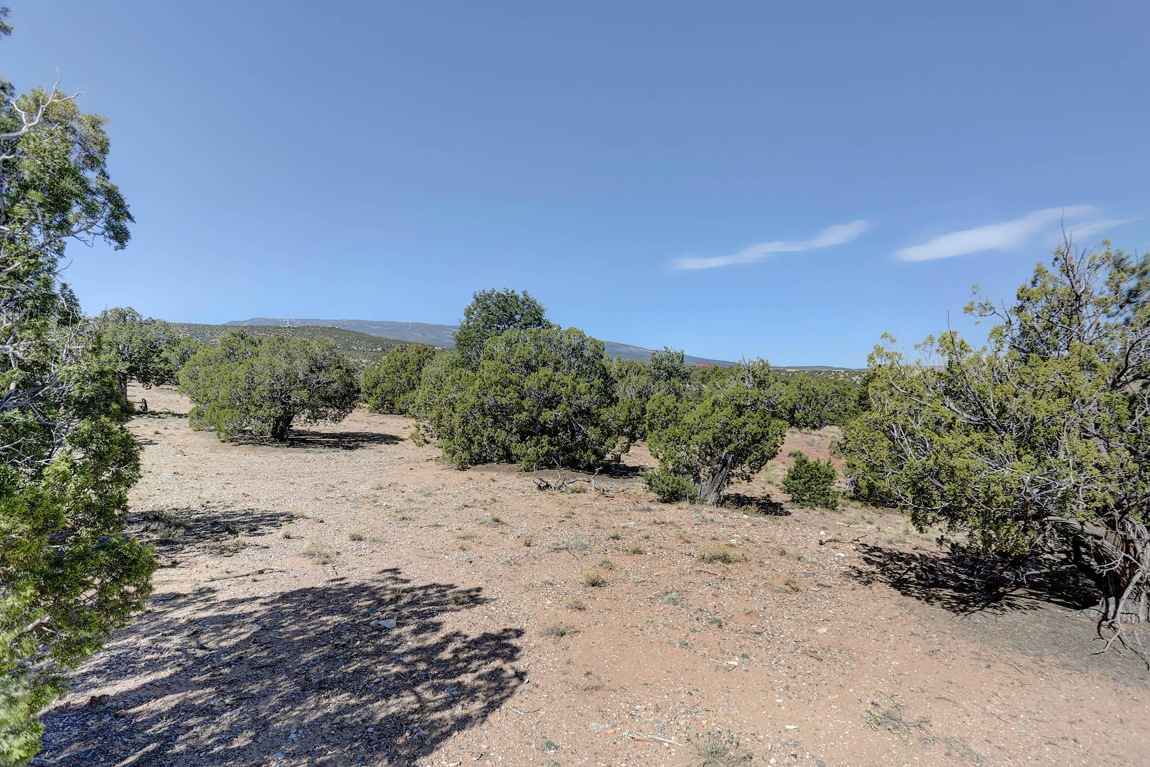 Photo 12 —  GOLD MINE Trail