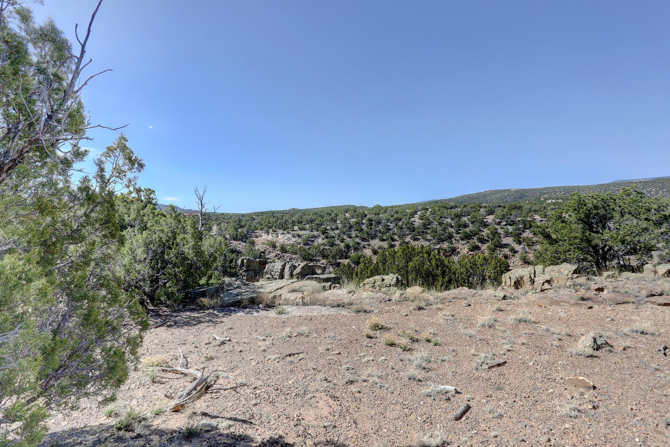 Photo 11 —  GOLD MINE Trail
