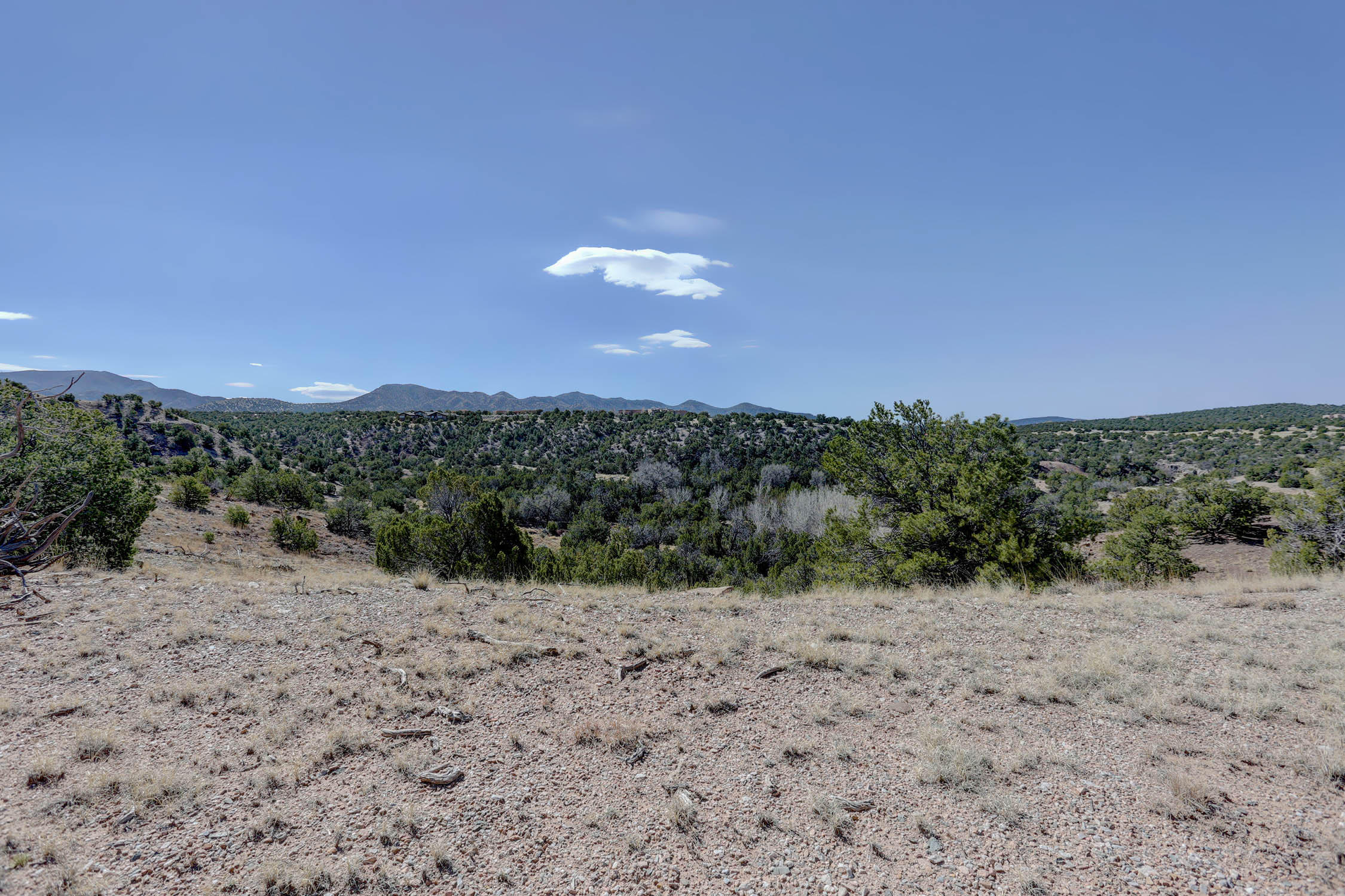 Photo 10 —  GOLD MINE Trail