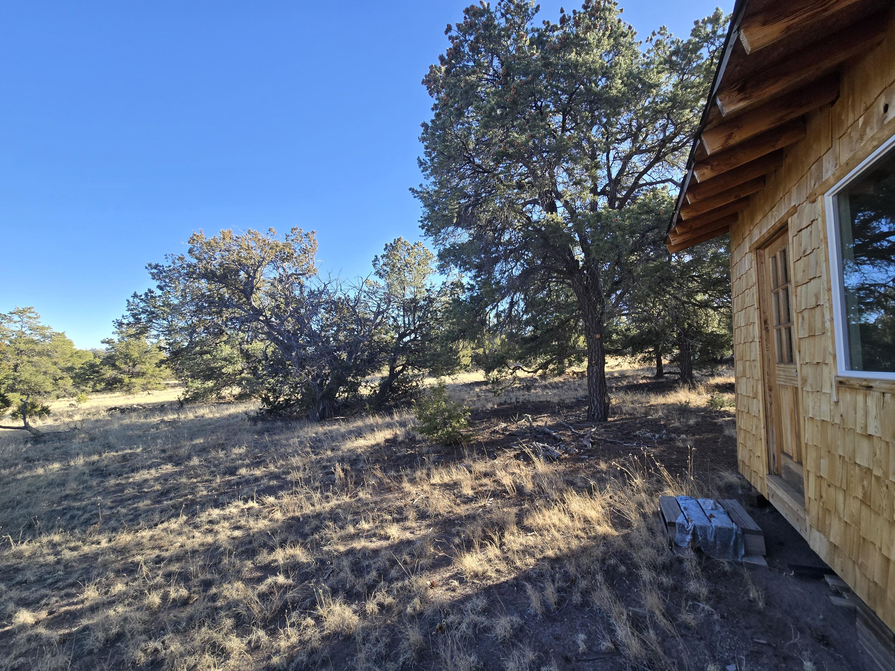Photo 7 — 39 Cedar Drive