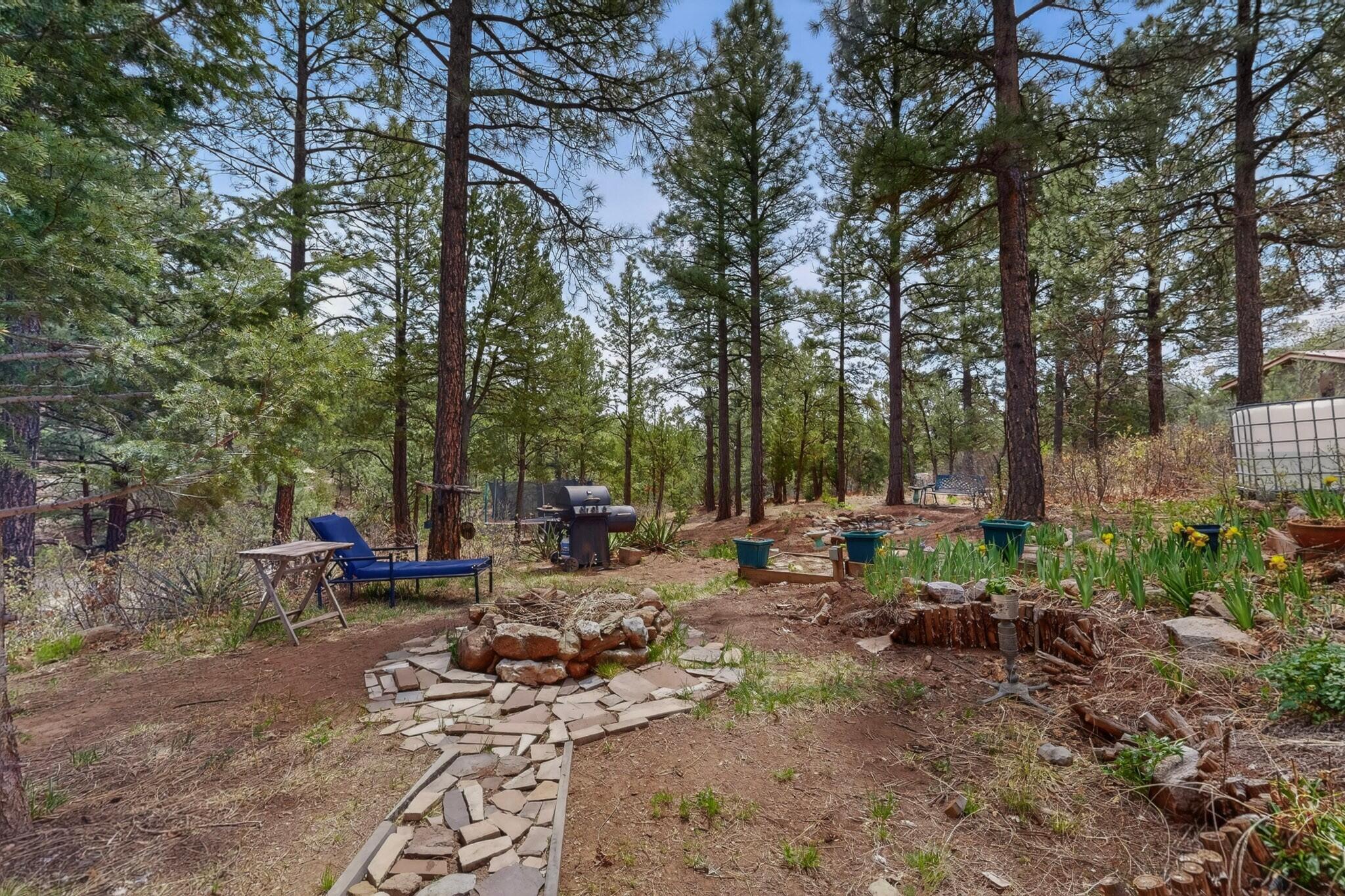 Photo 13 — 88 Pinon Ridge