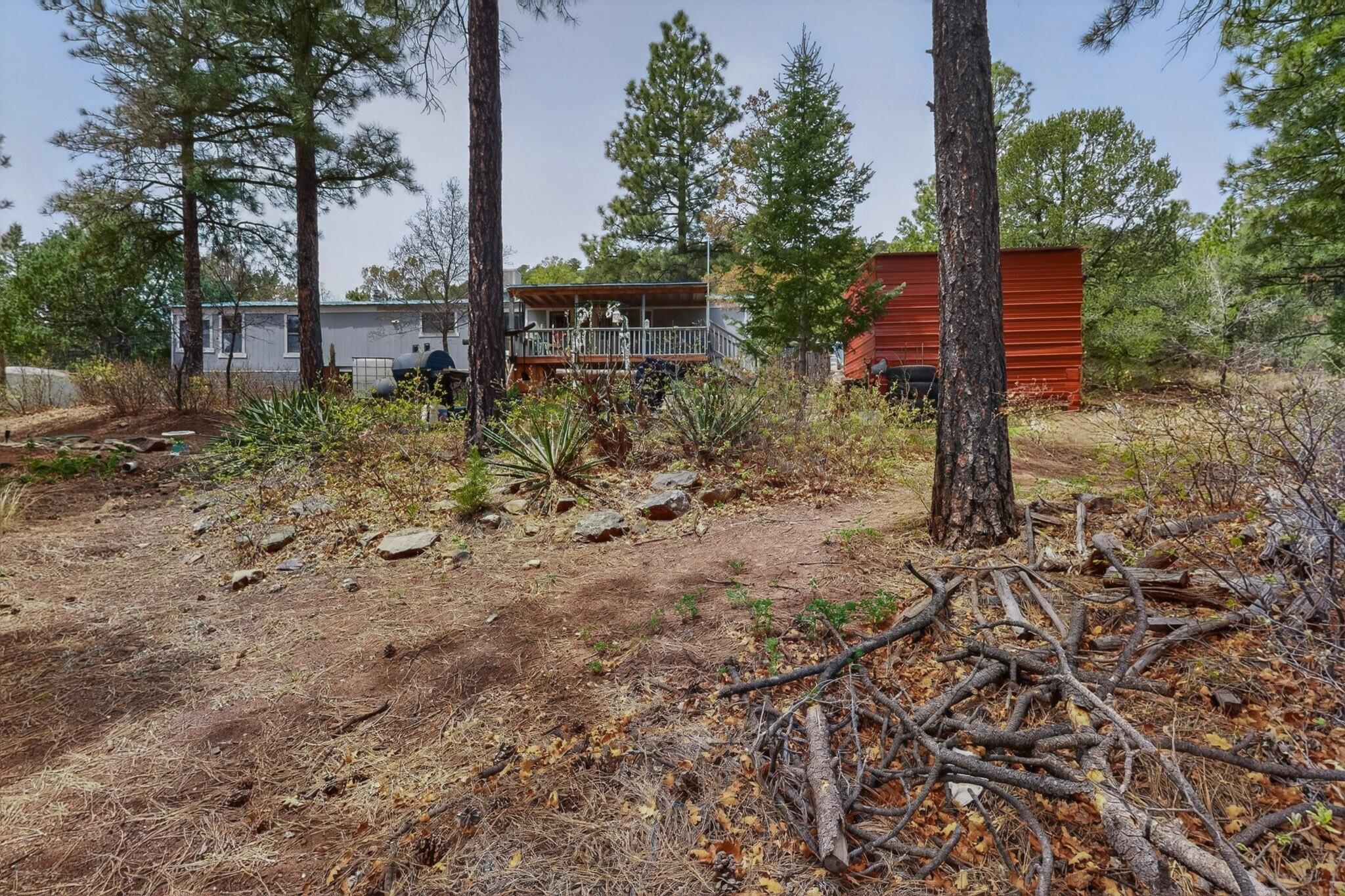 Photo 10 — 88 Pinon Ridge
