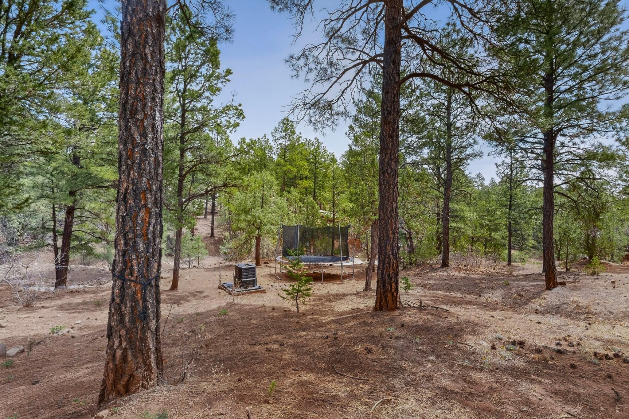 Photo 9 — 88 Pinon Ridge
