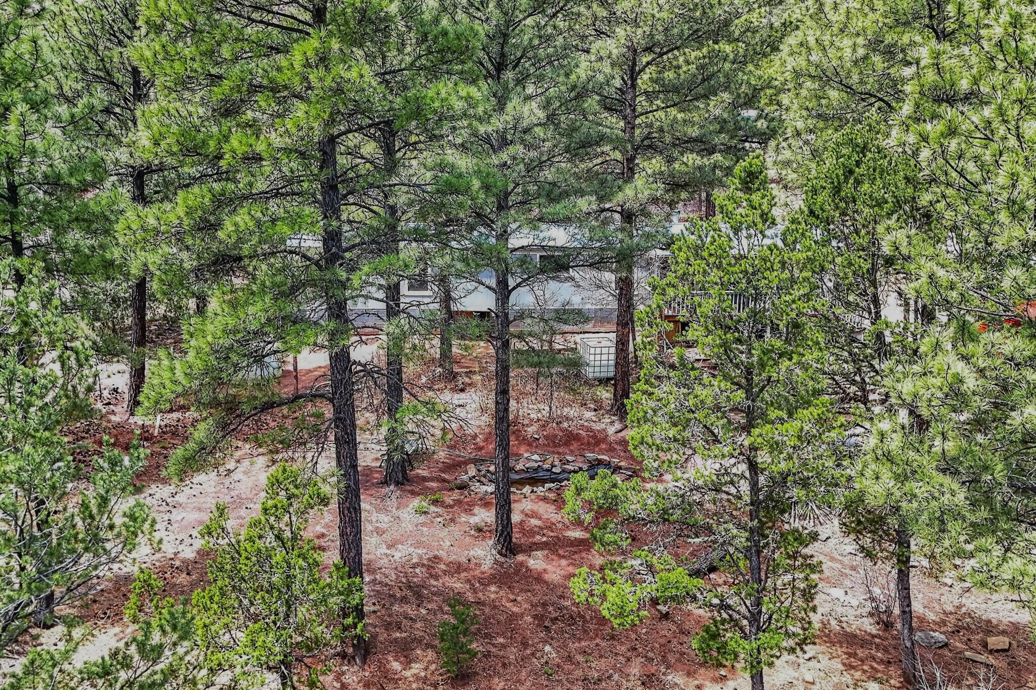 Photo 8 — 88 Pinon Ridge