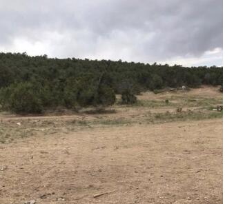 Photo 4 —  Lot 17 Wrye Rancho