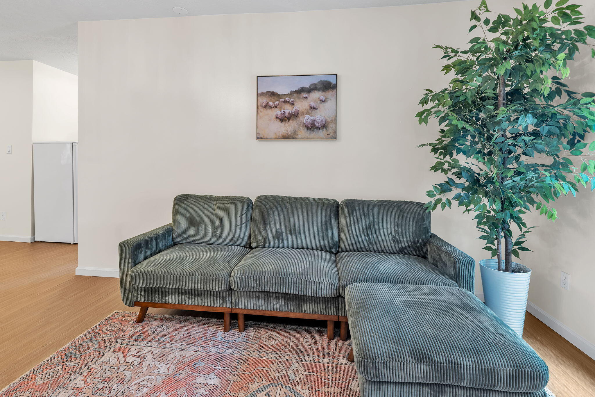 Photo 8 — 2707 Floral Road NW