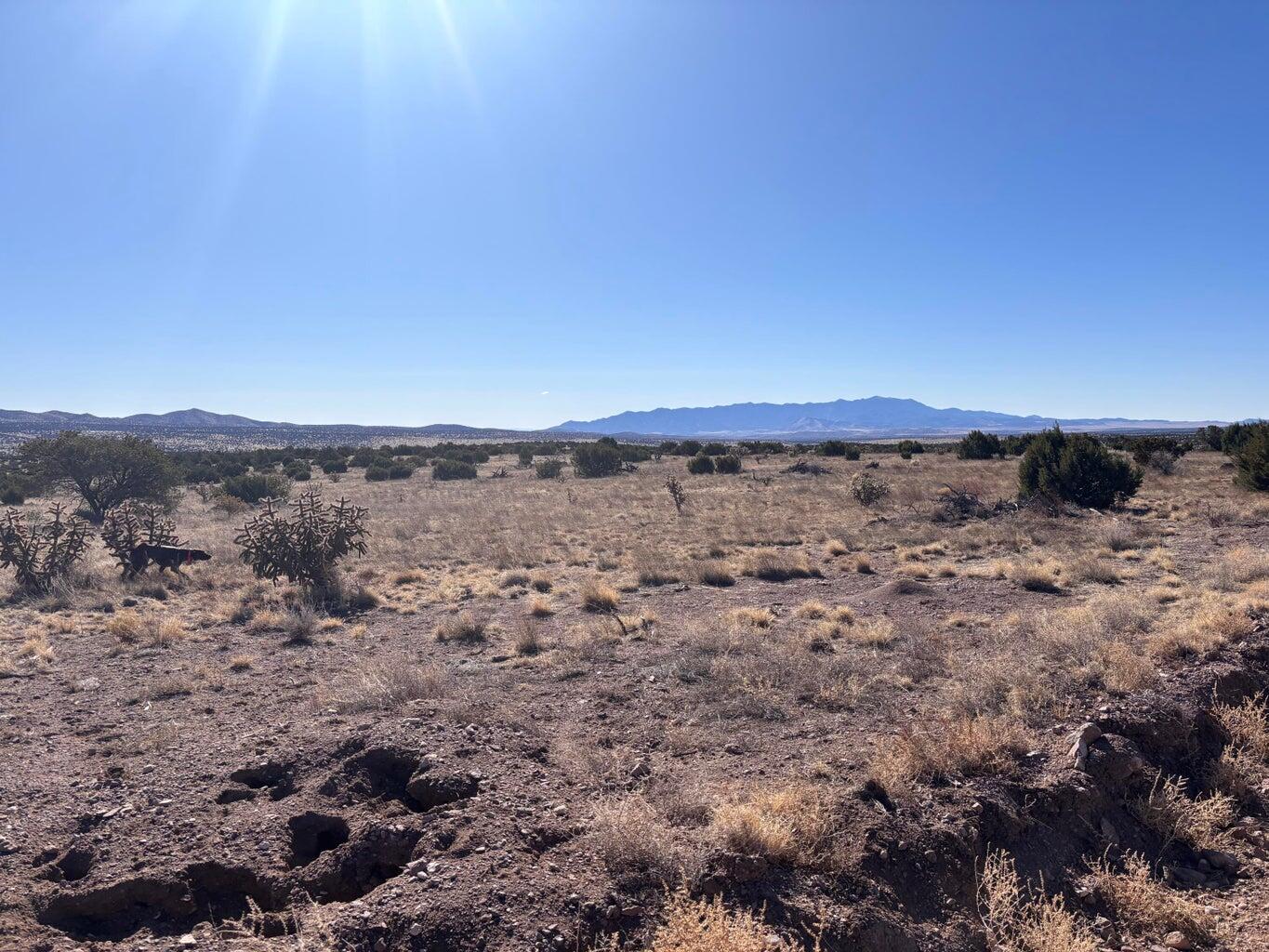 Photo 2 —  lot 168 Pinon Springs
