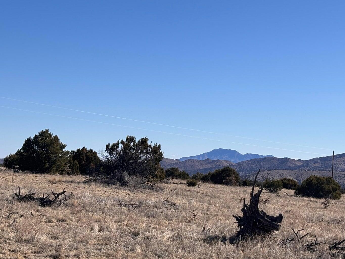 Photo 4 —  lot 168 Pinon Springs