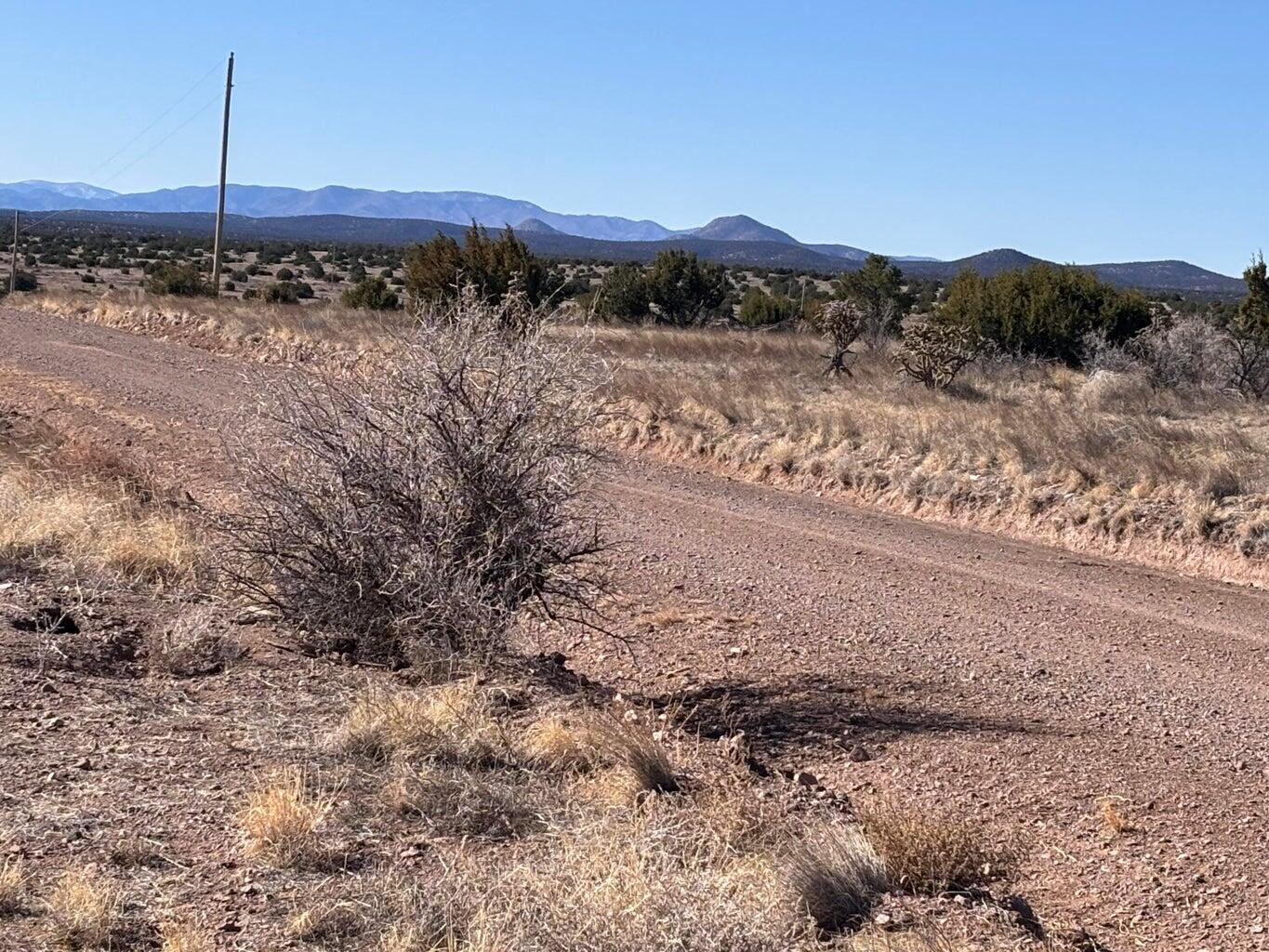 Photo 6 —  lot 168 Pinon Springs