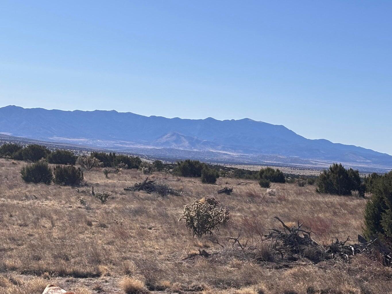 Photo 7 —  lot 168 Pinon Springs
